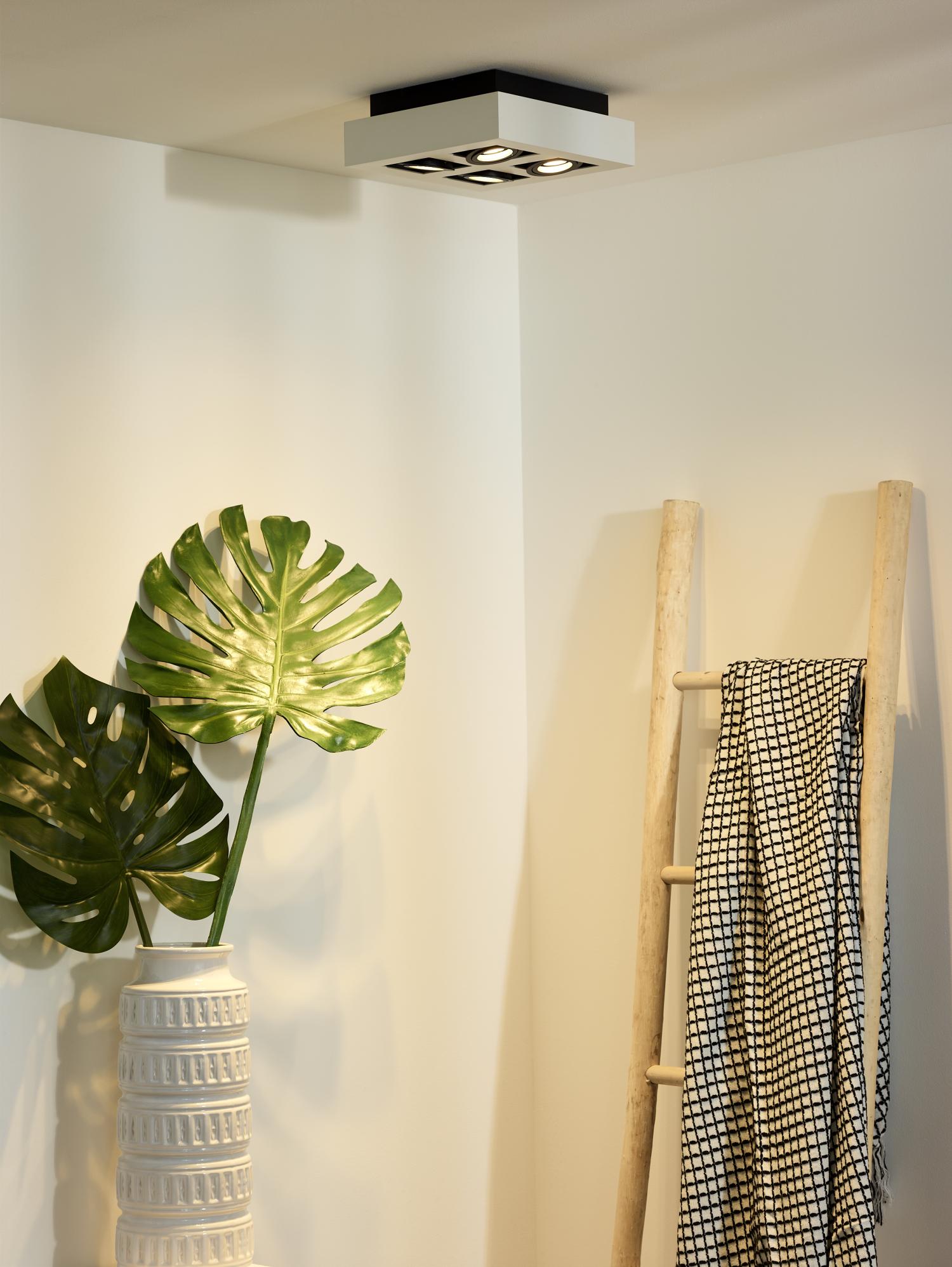 Xirax Ceiling Lights - Matt Black