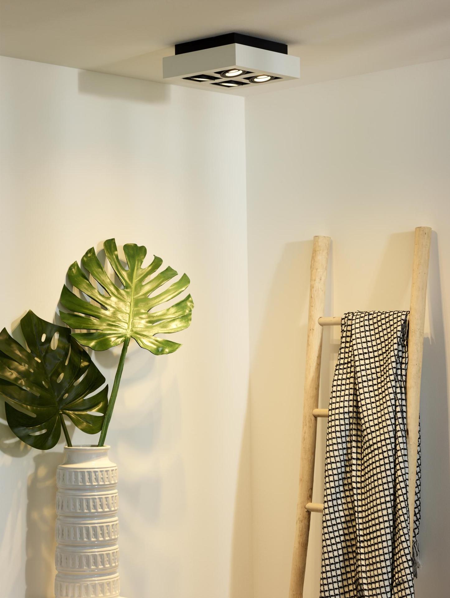 Xirax Ceiling Lights - Matt Black