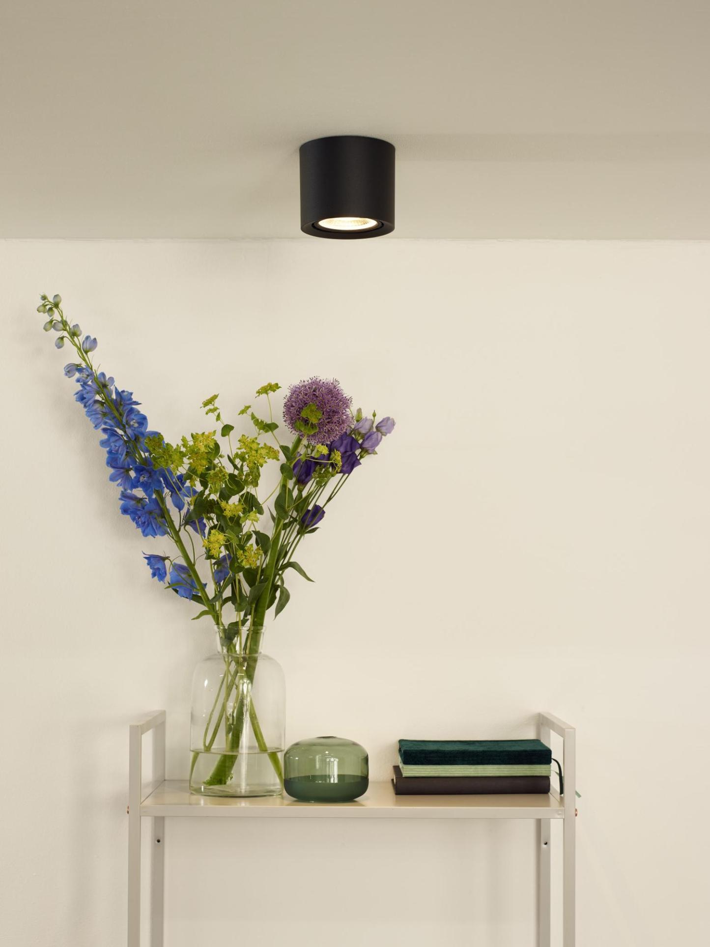 Fedler Ceiling Lights - Matt Black