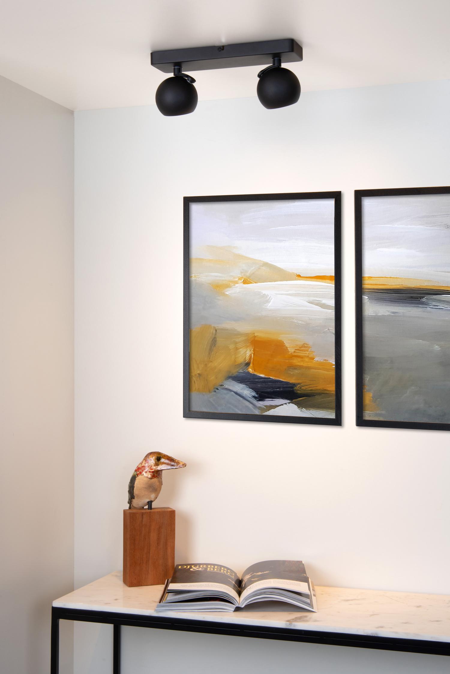 Favori Ceiling Lights - Matt Black