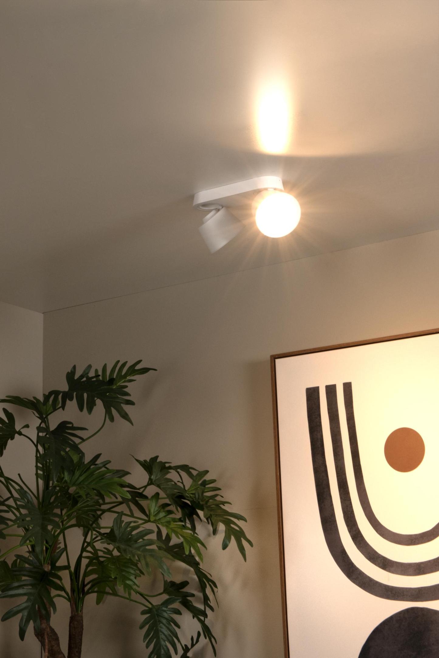 Trigono Ceiling Lights - Matt Black