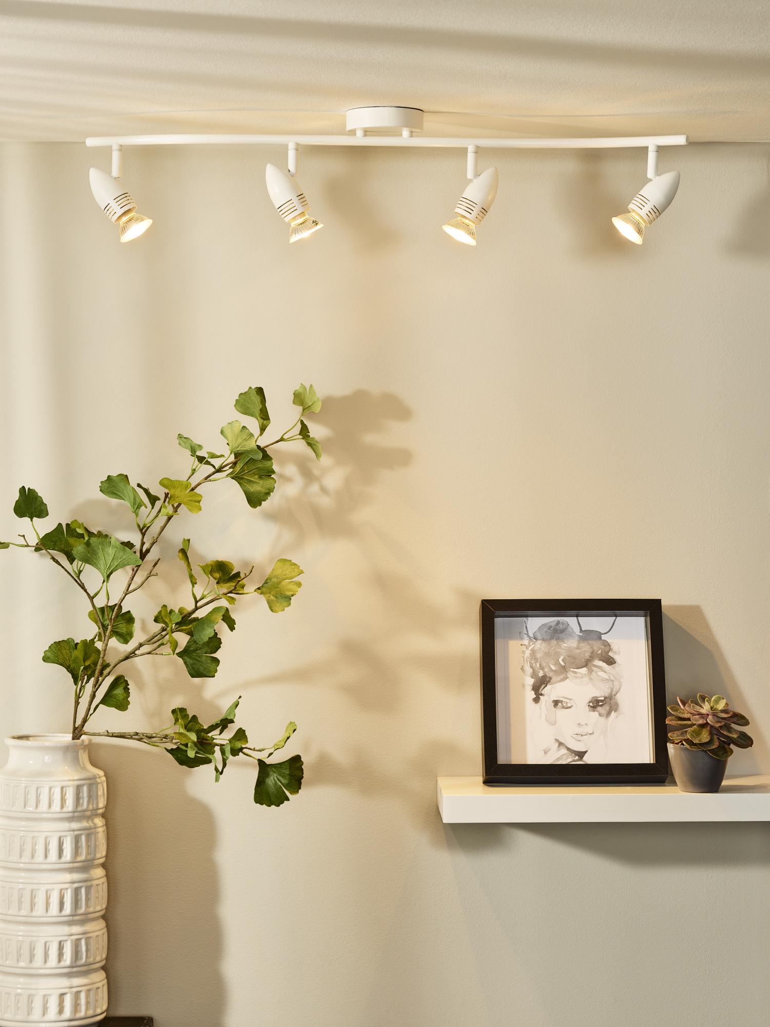 Caro Ceiling Lights - Satin Chrome