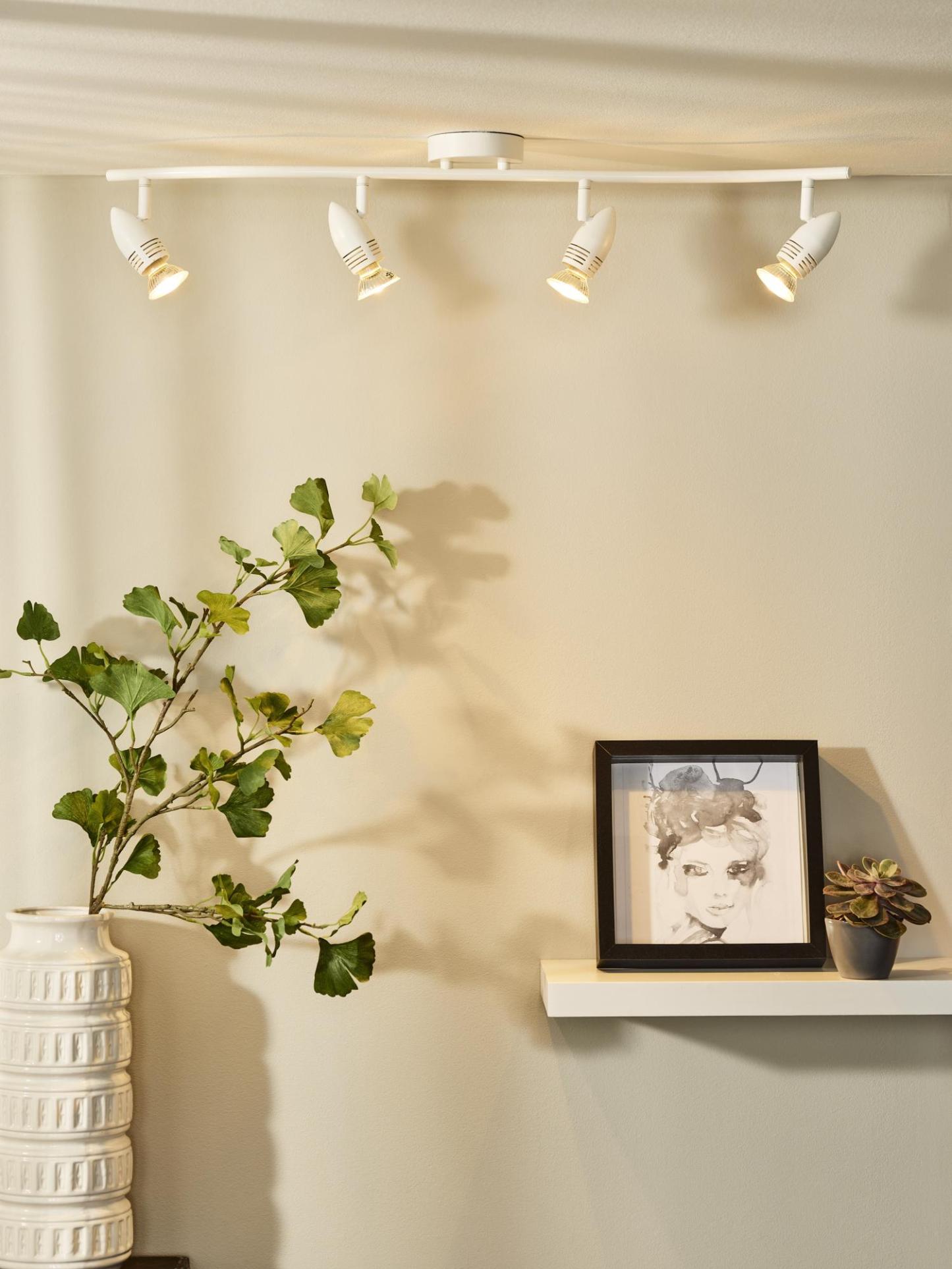 Caro Ceiling Lights - Satin Chrome