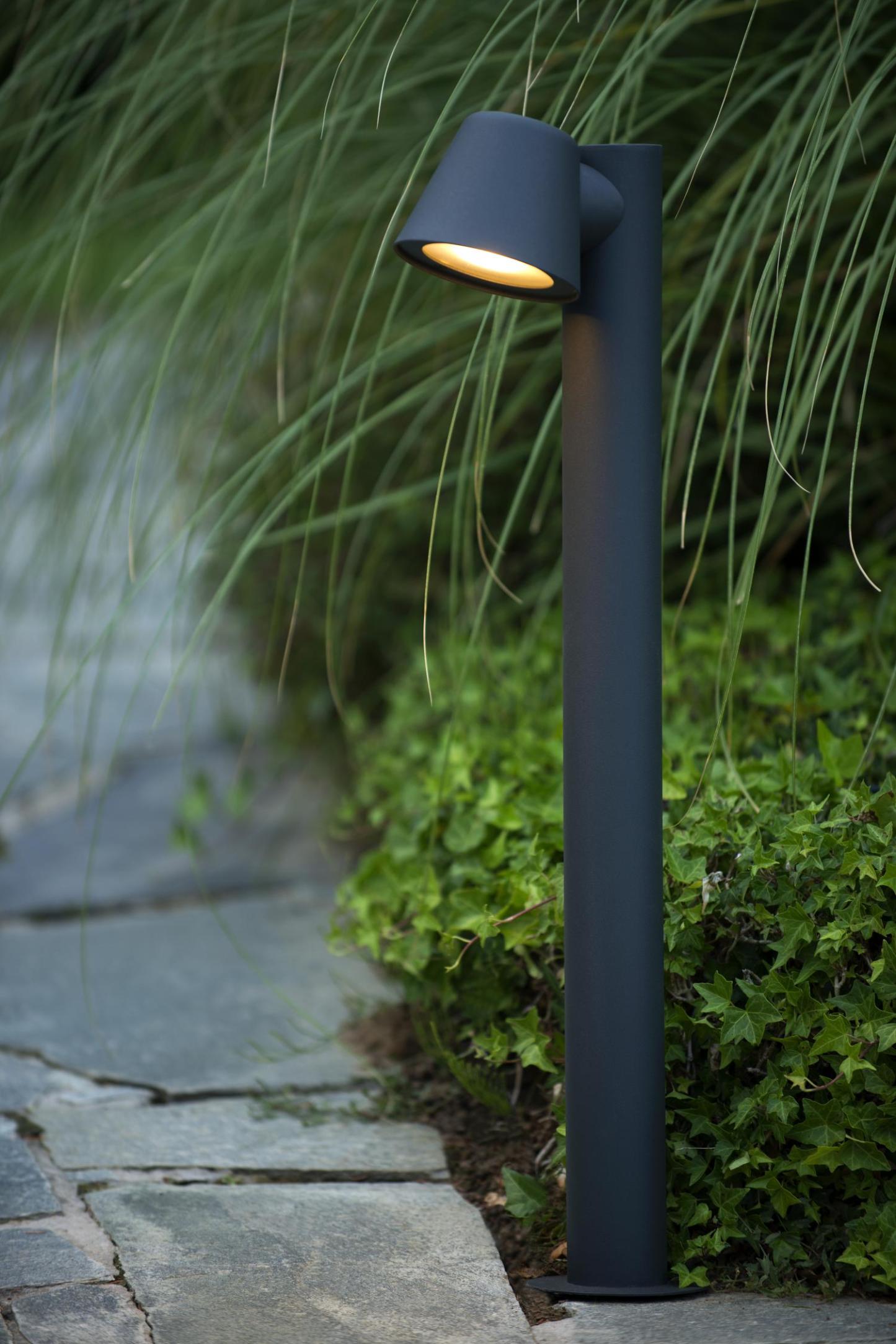 Dingo Outdoor Lights - Matt Black/Clear Glass