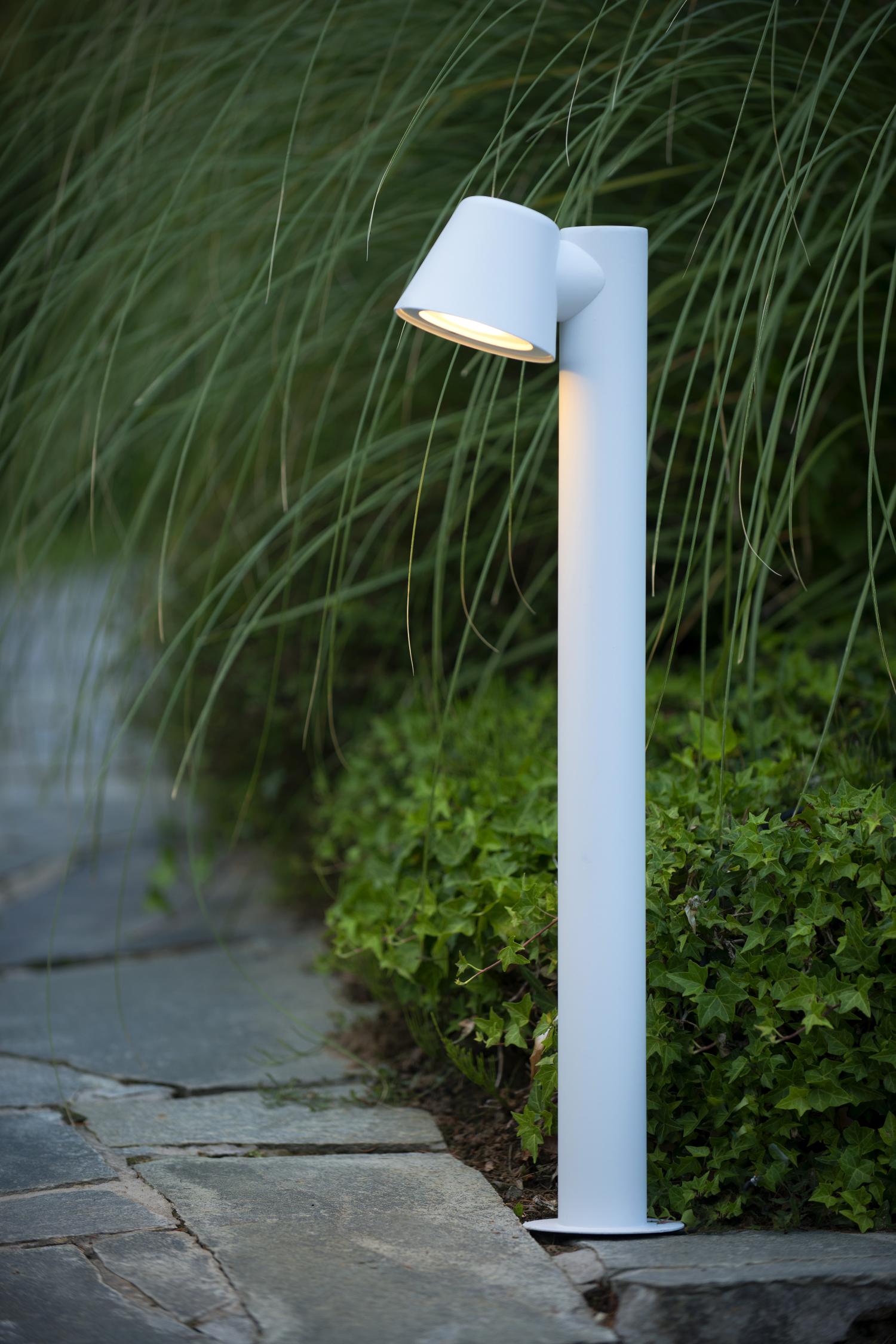 Dingo Outdoor Lights - Matt Black/Clear Glass