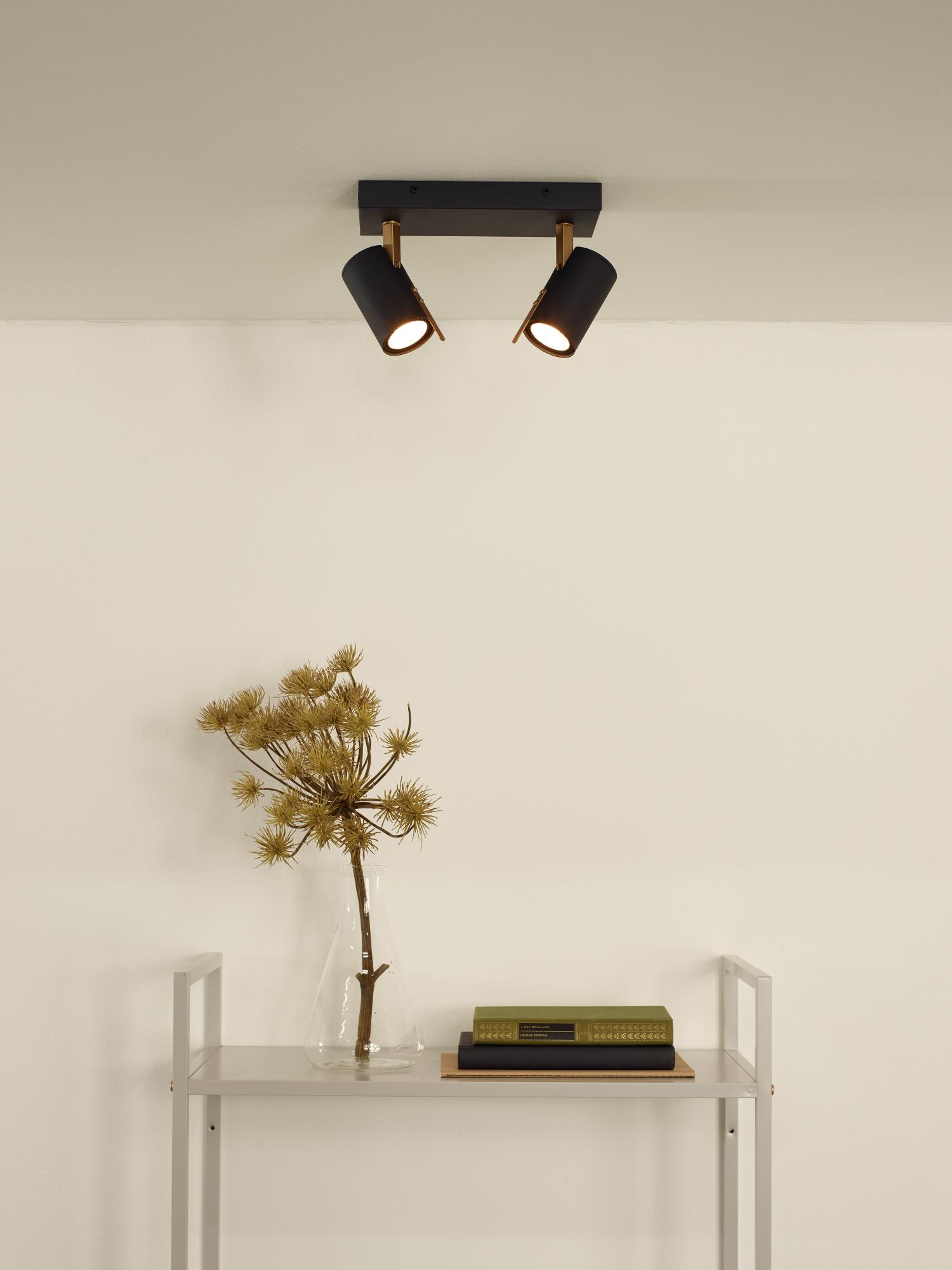 Grony Ceiling Lights - Matt Black