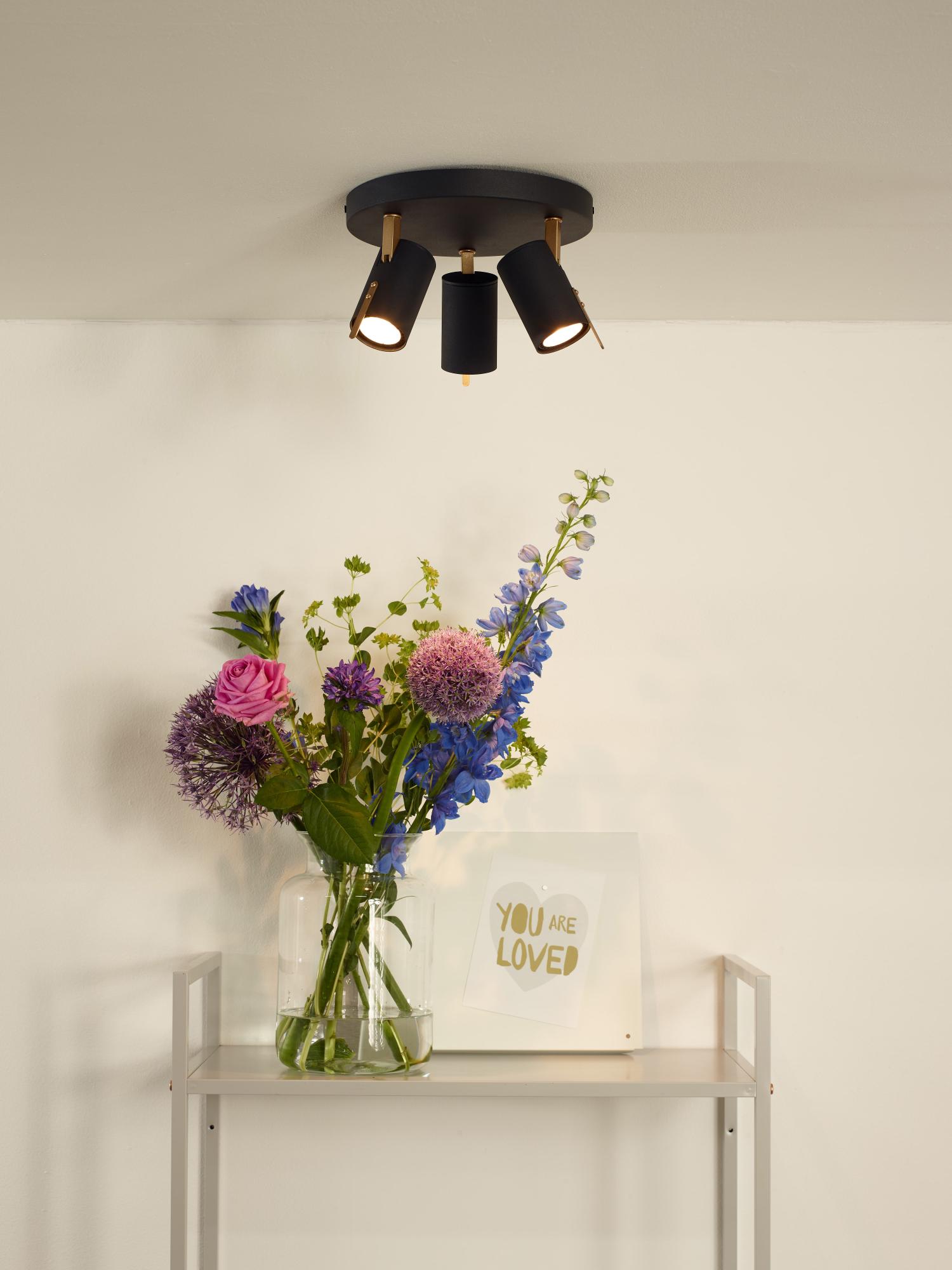 Grony Ceiling Lights - Matt Black