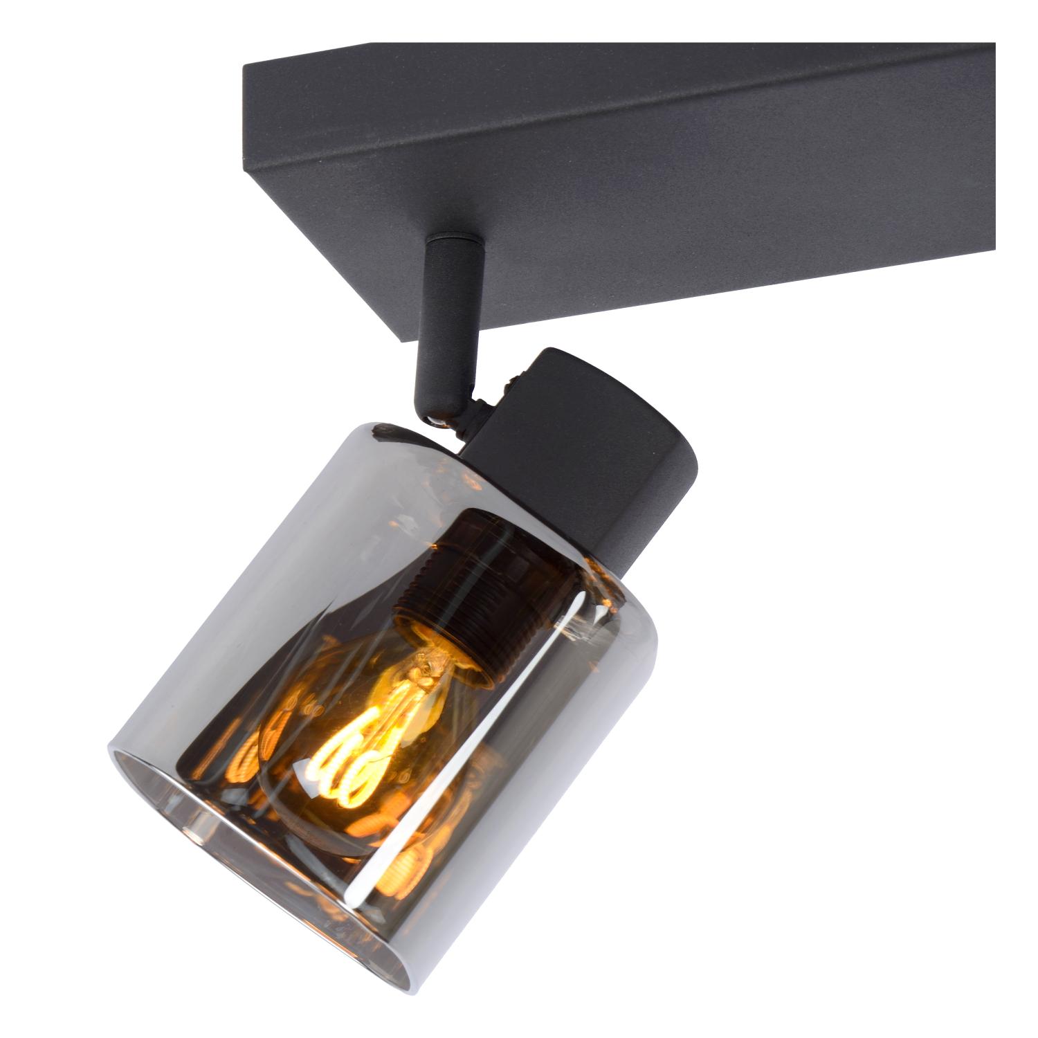 Alion Ceiling Lights - Matt Black/Smoked Grey