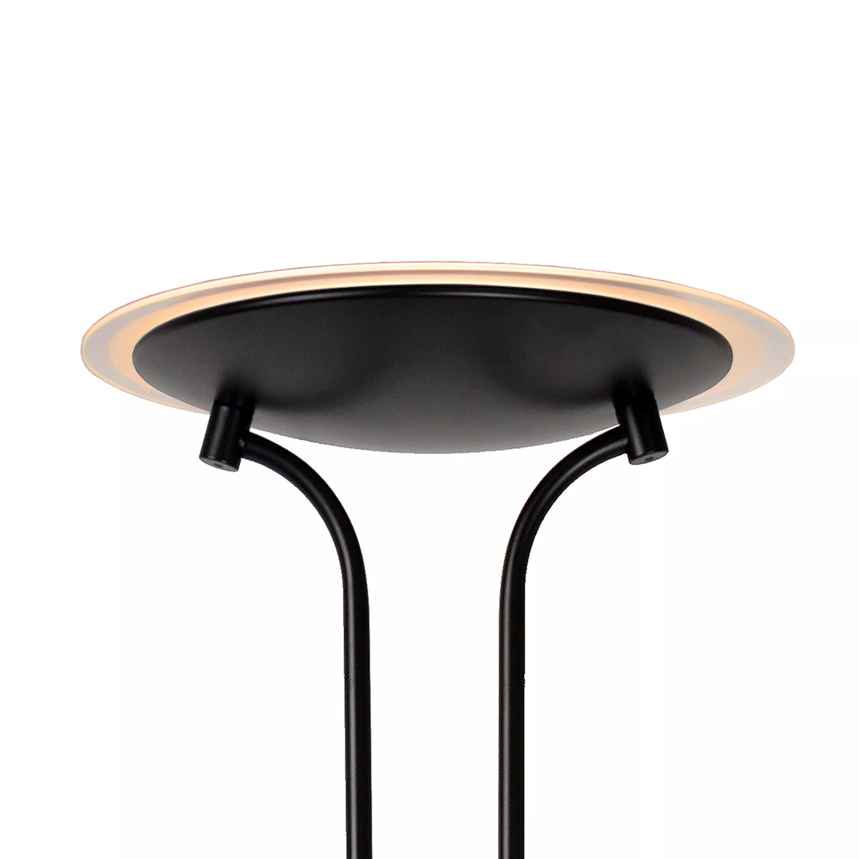 Champion Floor Lamp