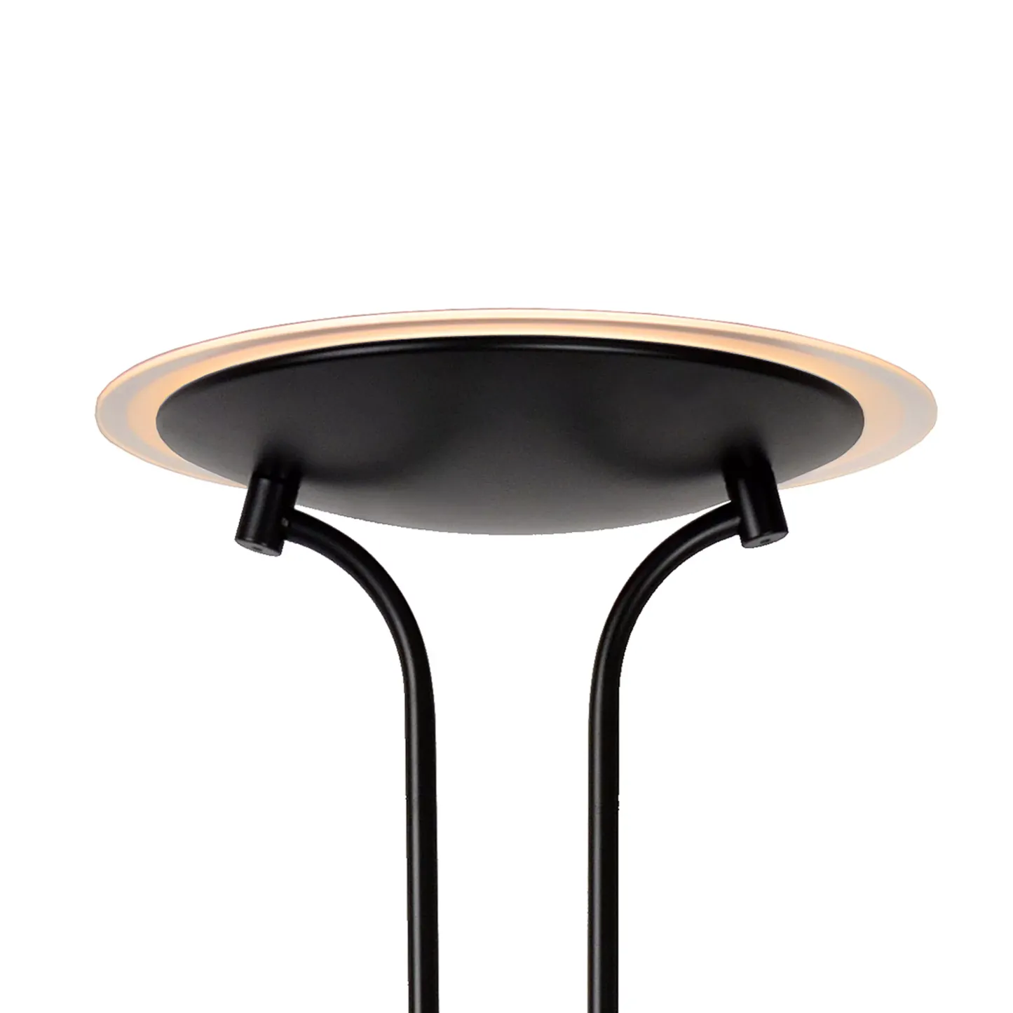 Champion Floor Lamp