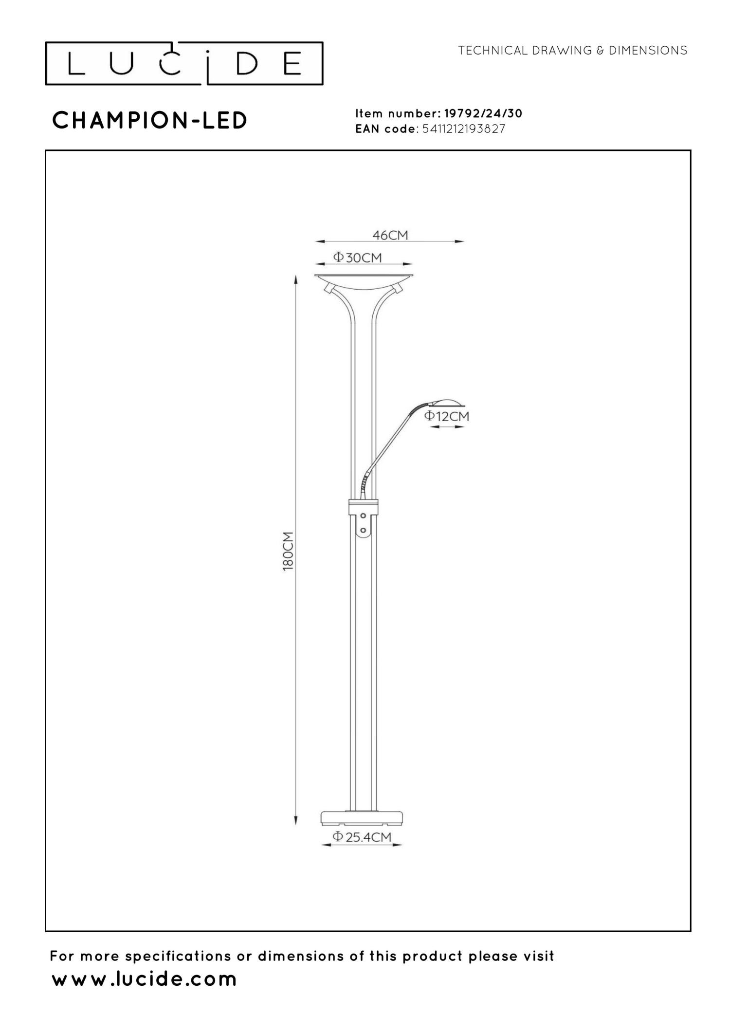 Champion Floor Lamp - Antique Bronze/Opal