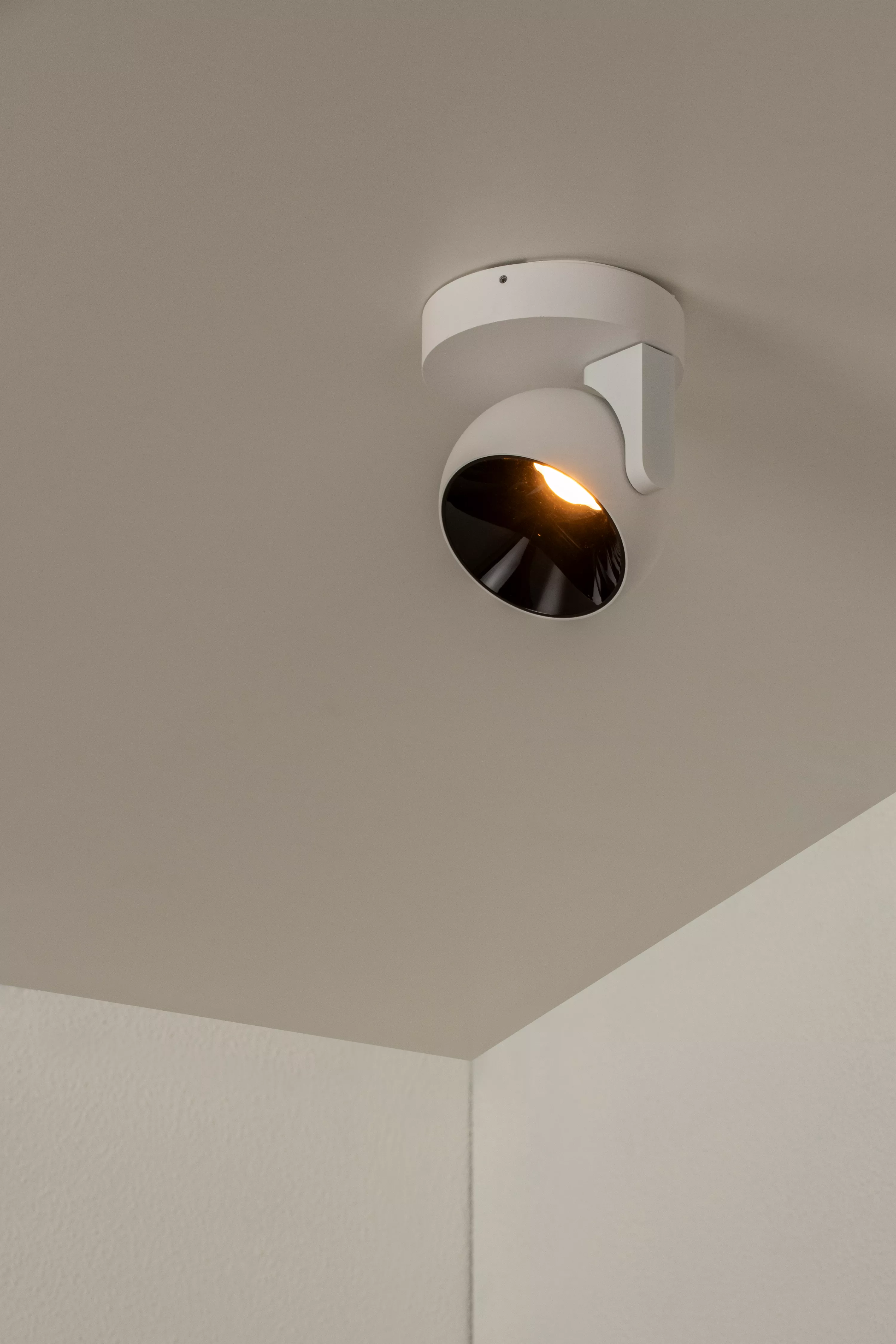 Esfera Ceiling Light