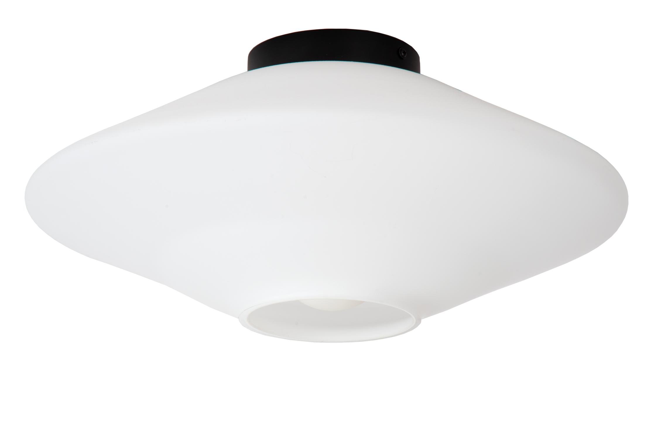 Trevor Ceiling Lights - Matt Black/Opal