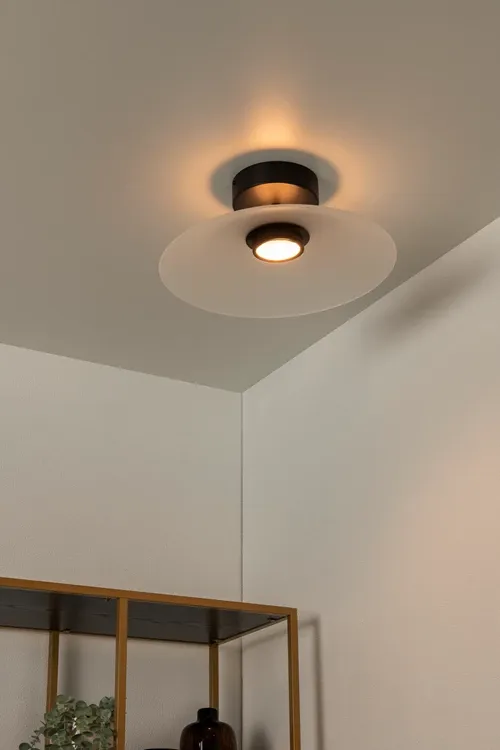 Menga Ceiling Light
