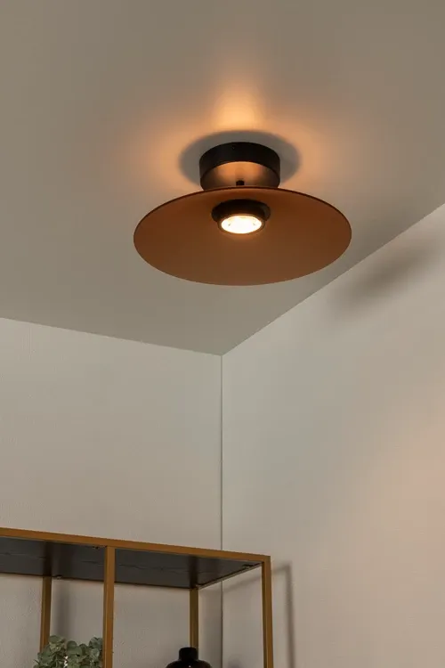 Menga Ceiling Light