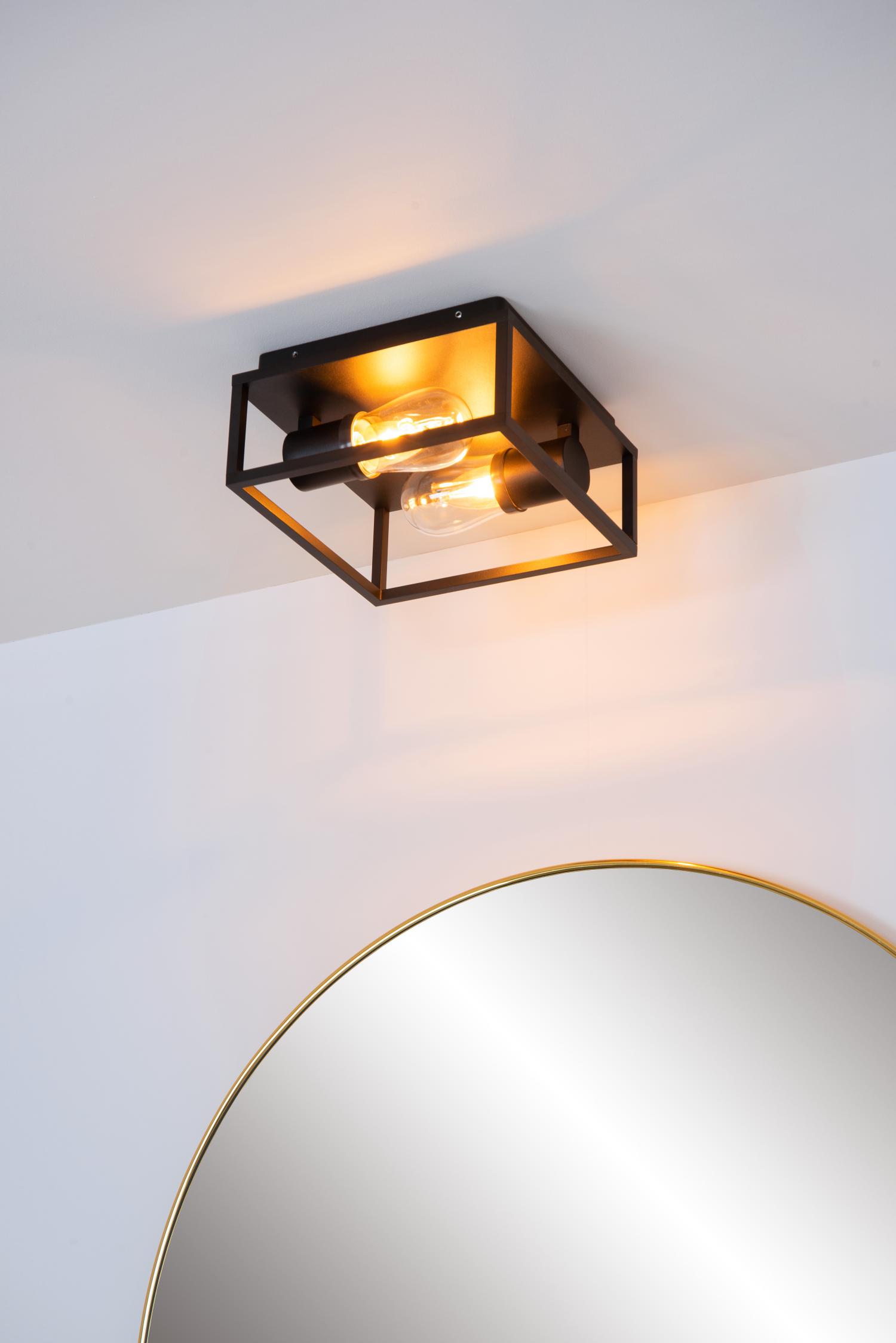 Carlyn Ceiling Lights - Matt Black