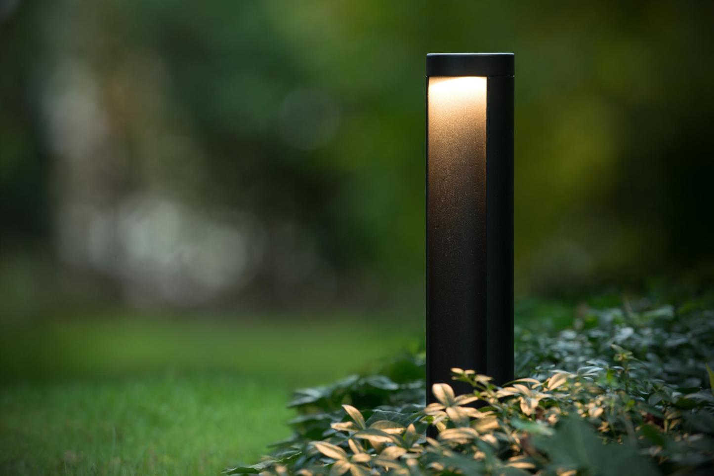Combo Outdoor Lights - Matt Black/Clear Glass