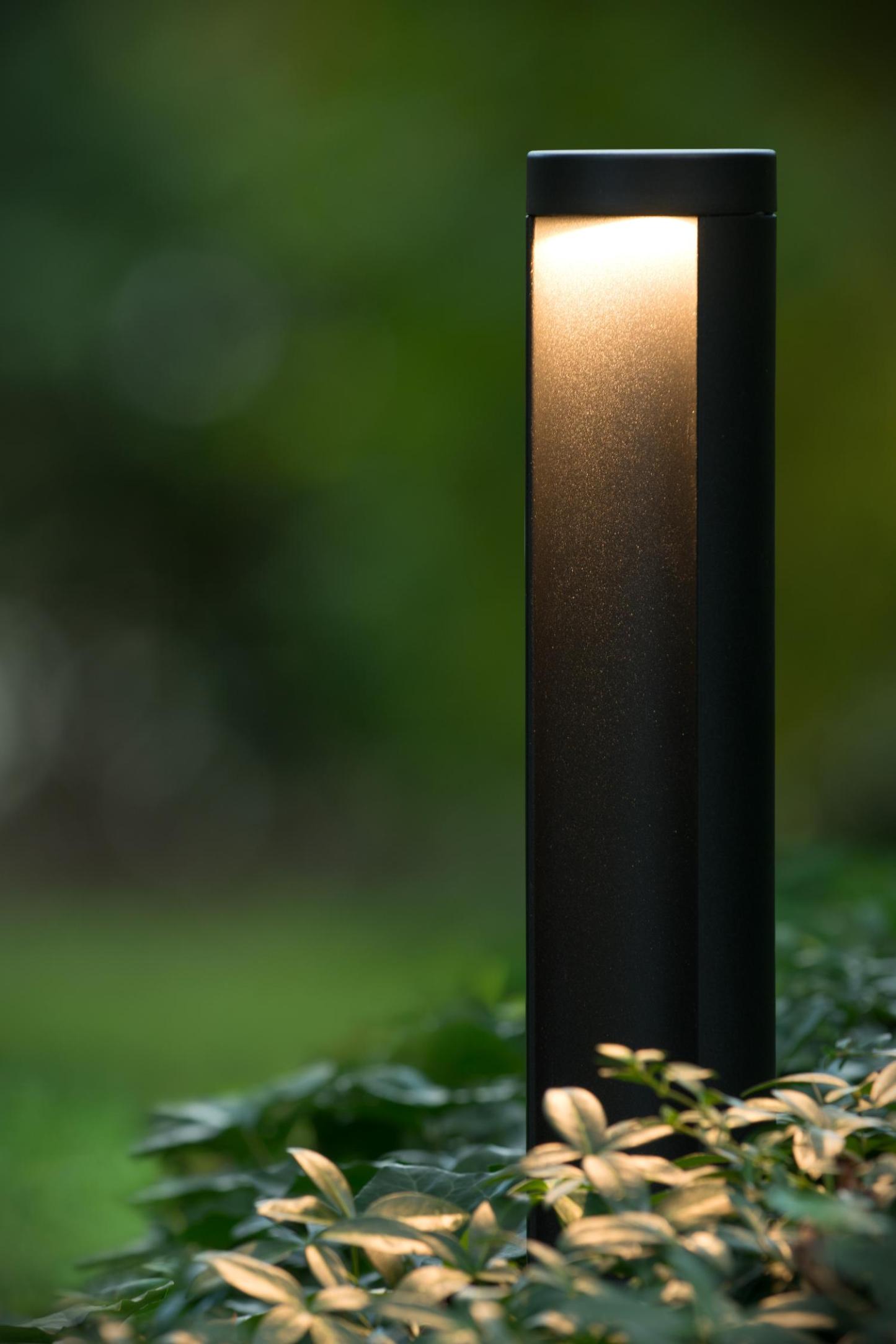 Combo Outdoor Lights - Matt Black/Clear Glass