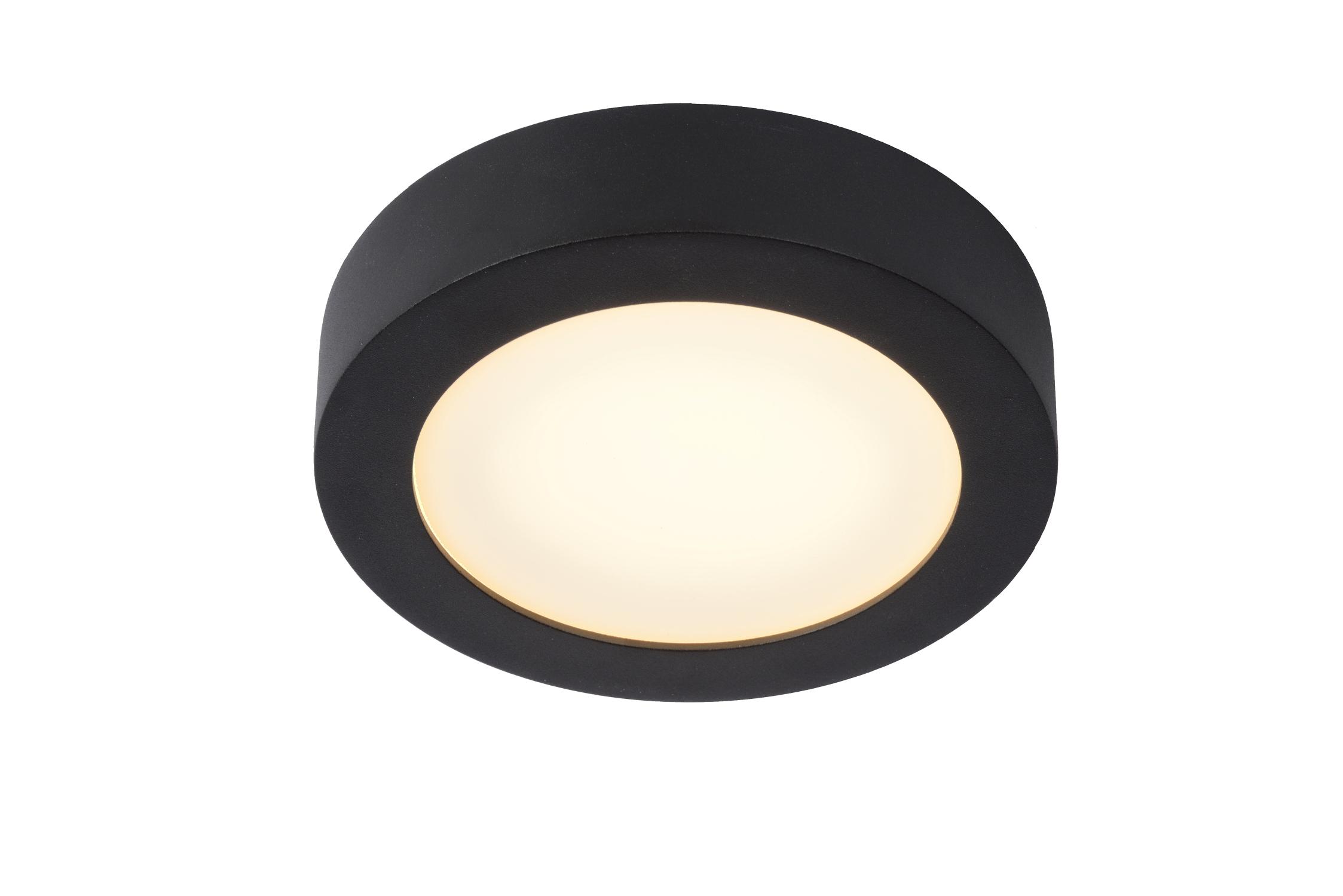 Brice Ceiling Lights - Matt Black/Opal - 180mm Diameter