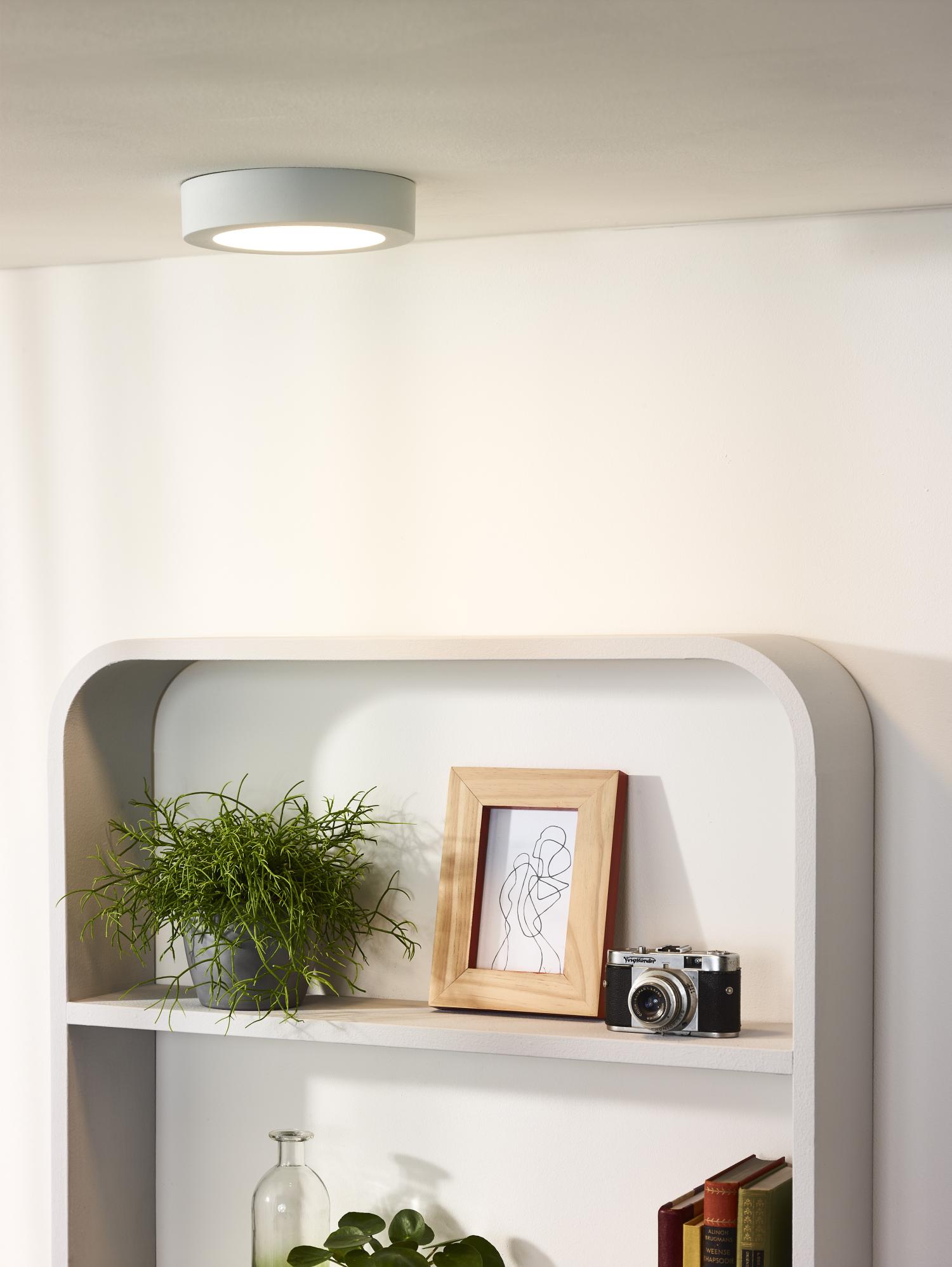 Brice Ceiling Lights - Matt Black/Opal - 180mm Diameter