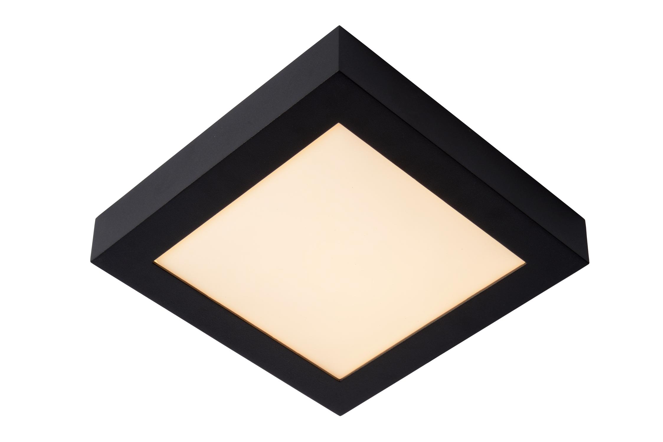 Brice Ceiling Lights - Matt Black/Opal - 220mm