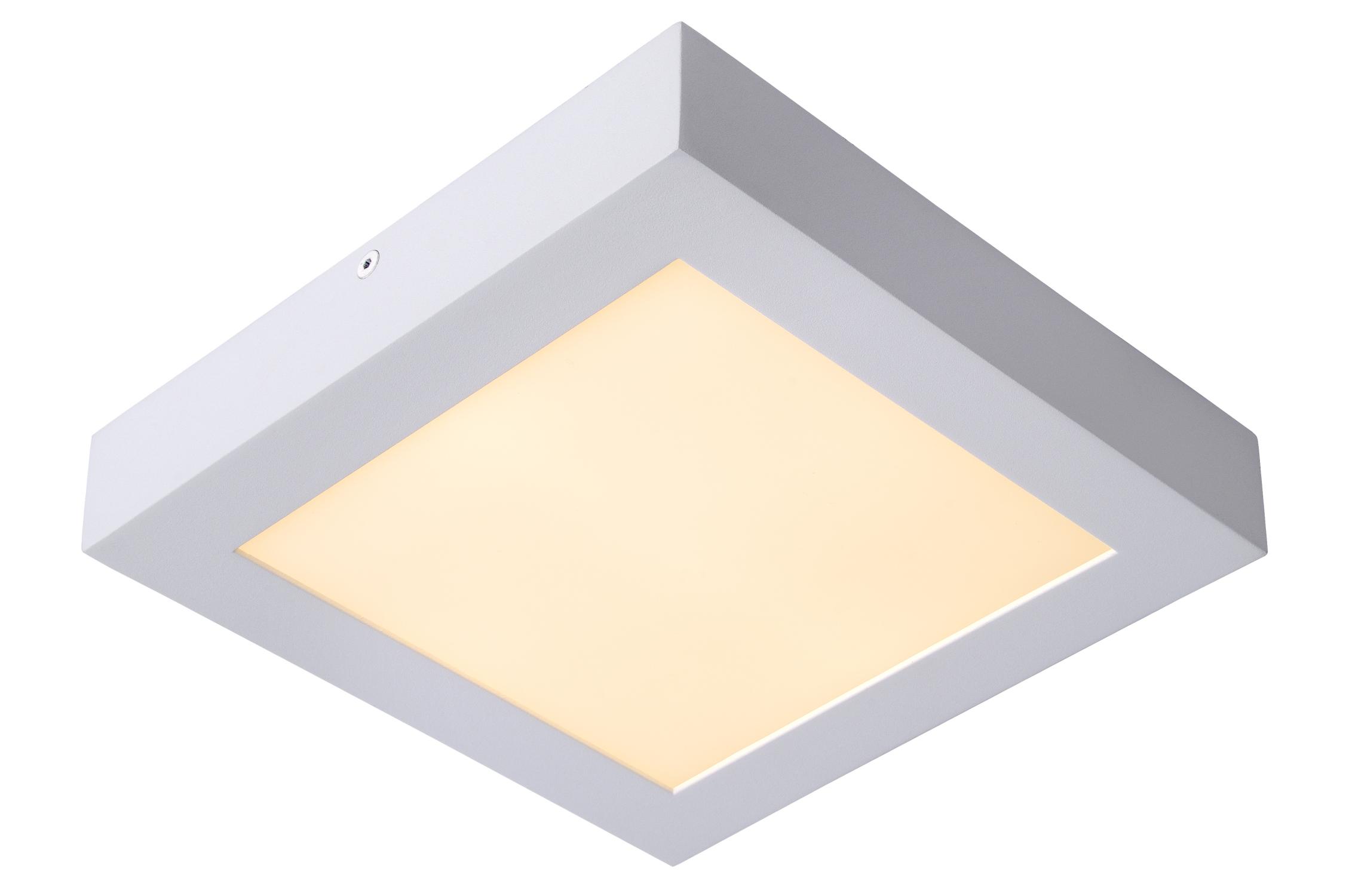 Brice Ceiling Lights - Matt Black/Opal - 220mm