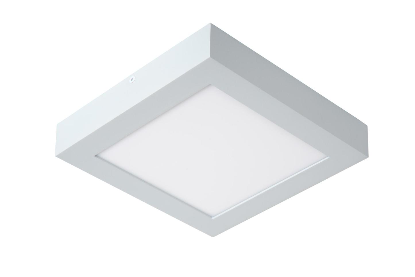 Brice Ceiling Lights - Matt Black/Opal - 220mm
