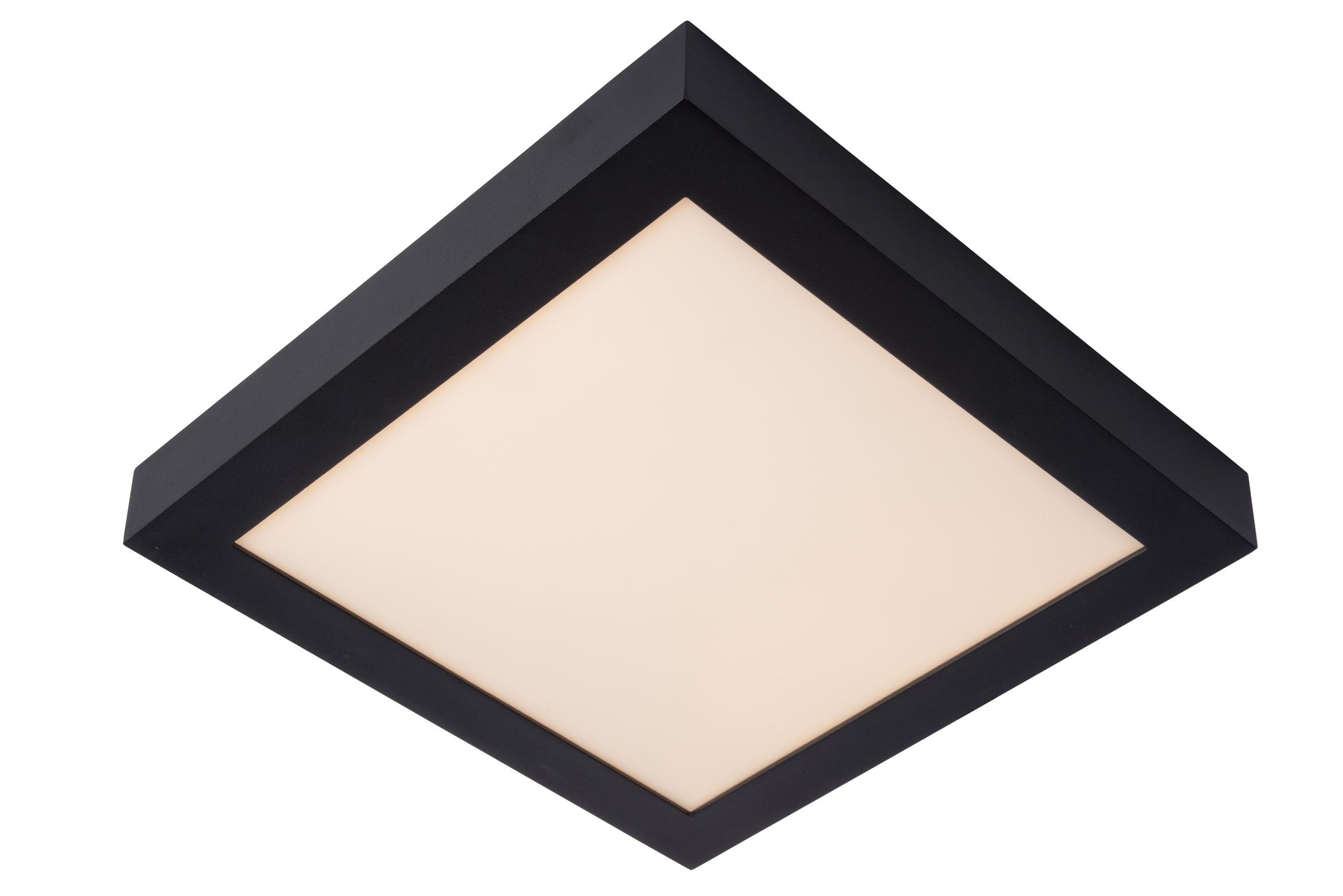 Brice Ceiling Lights - Matt Black/Opal - 300mm