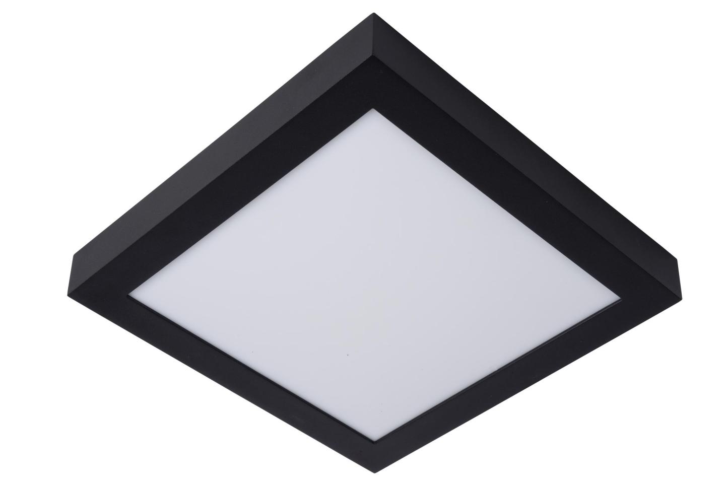 Brice Ceiling Lights - Matt Black/Opal - 300mm