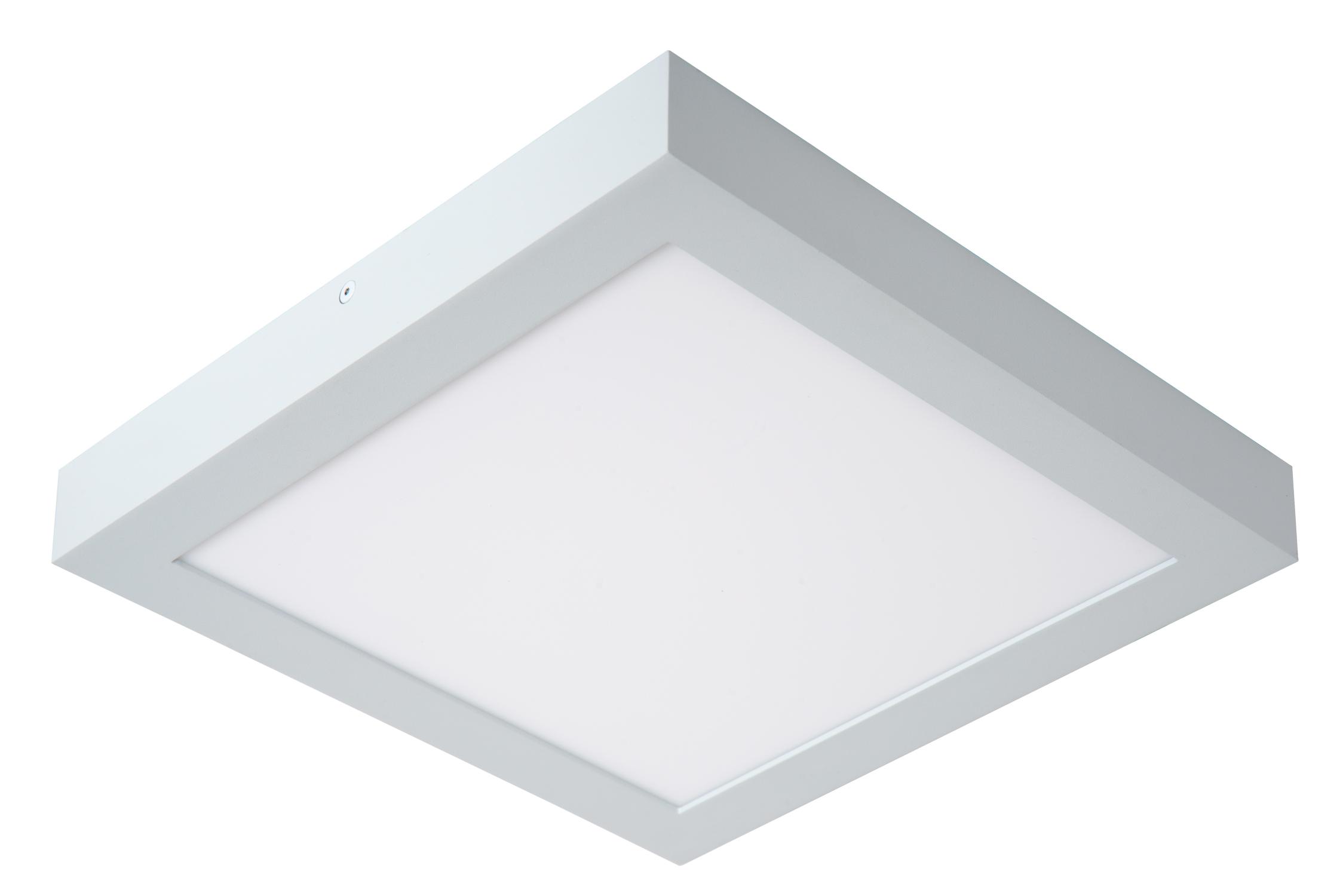 Brice Ceiling Lights - Matt Black/Opal - 300mm