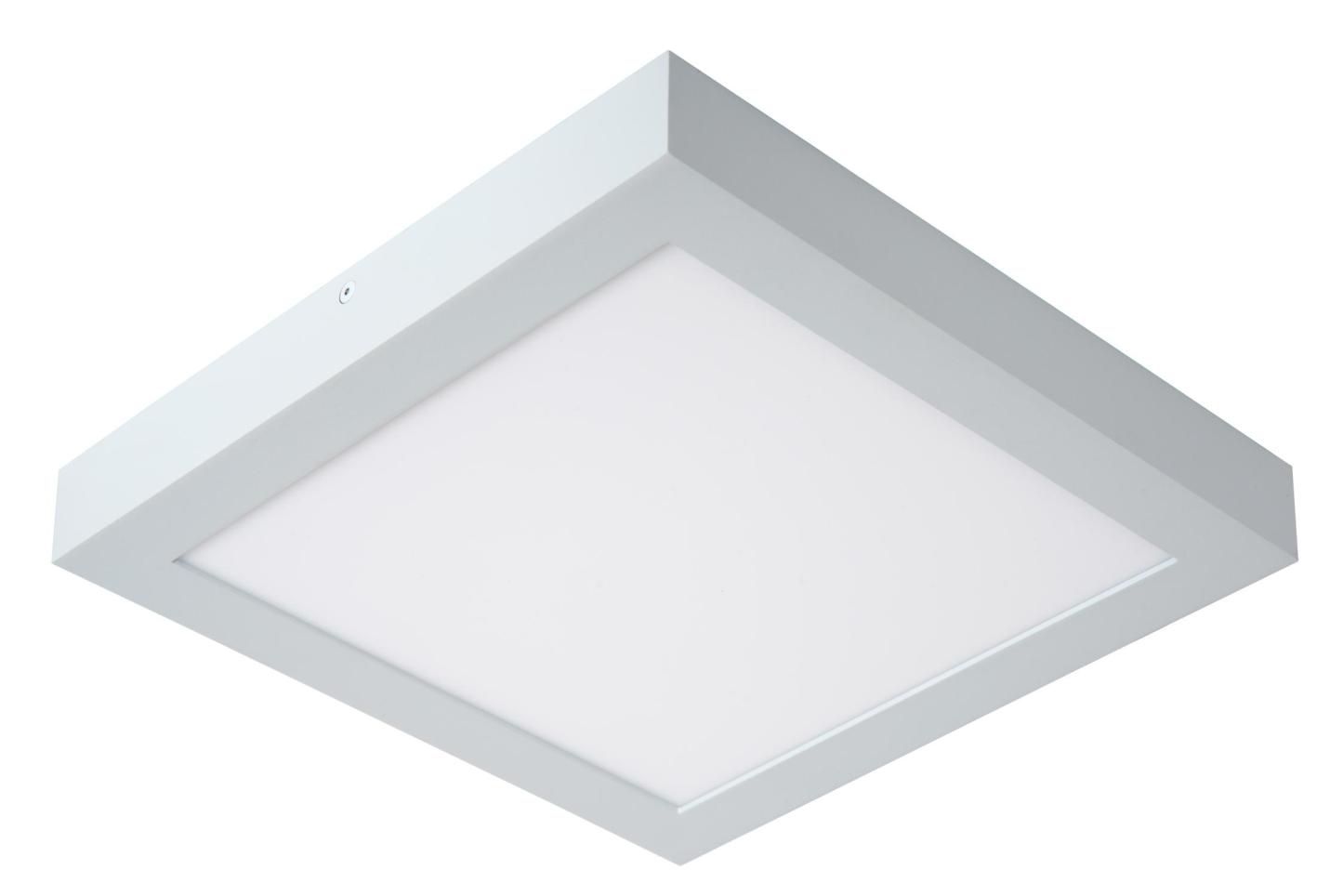 Brice Ceiling Lights - Matt Black/Opal - 300mm