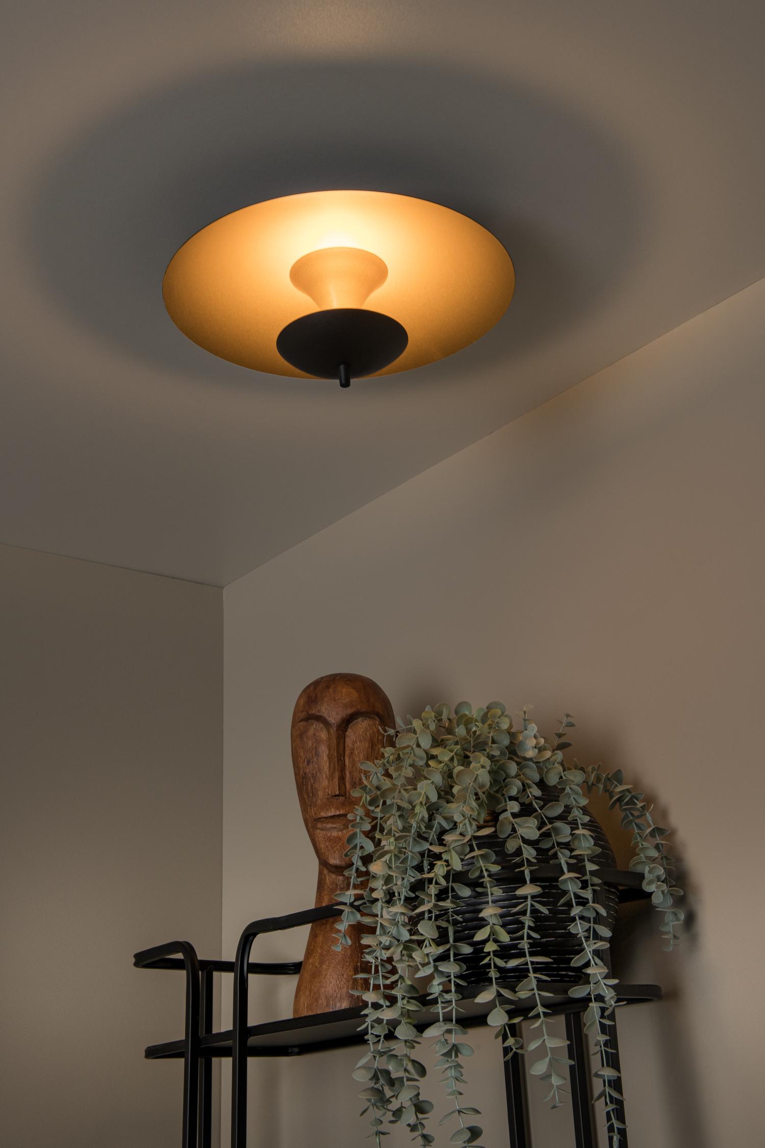 Vulcan Ceiling Lights - Matt Black