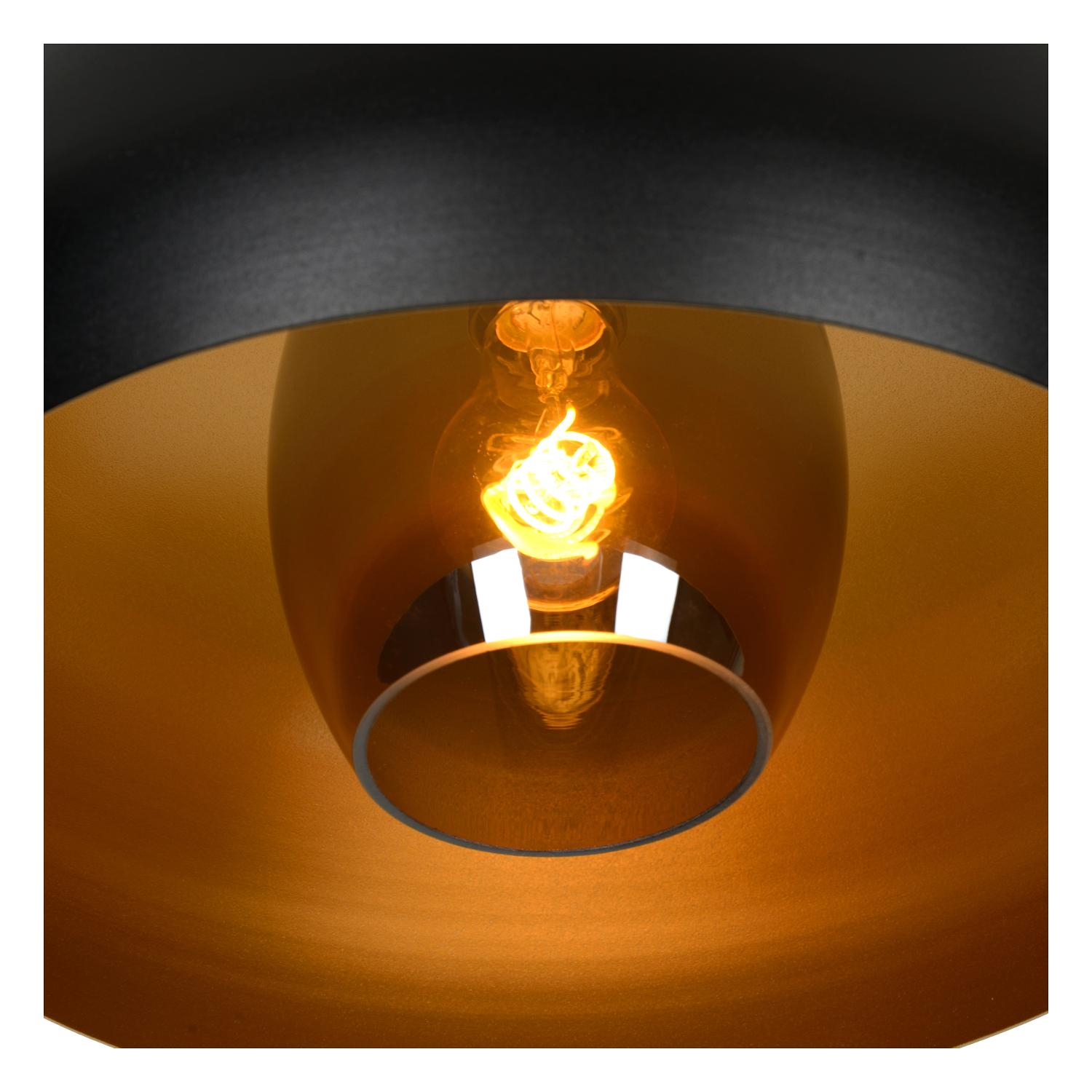 Sharan Ceiling Lights - Matt Black/Smoked Grey