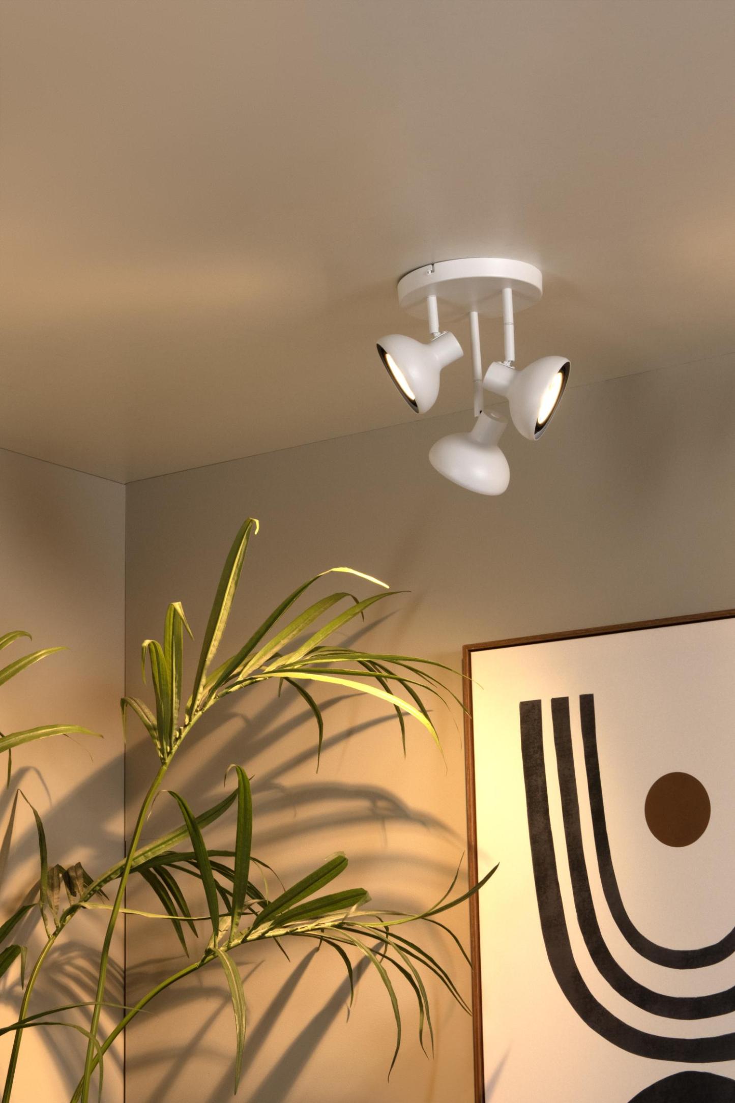 Sensas Ceiling Lights - Matt Black