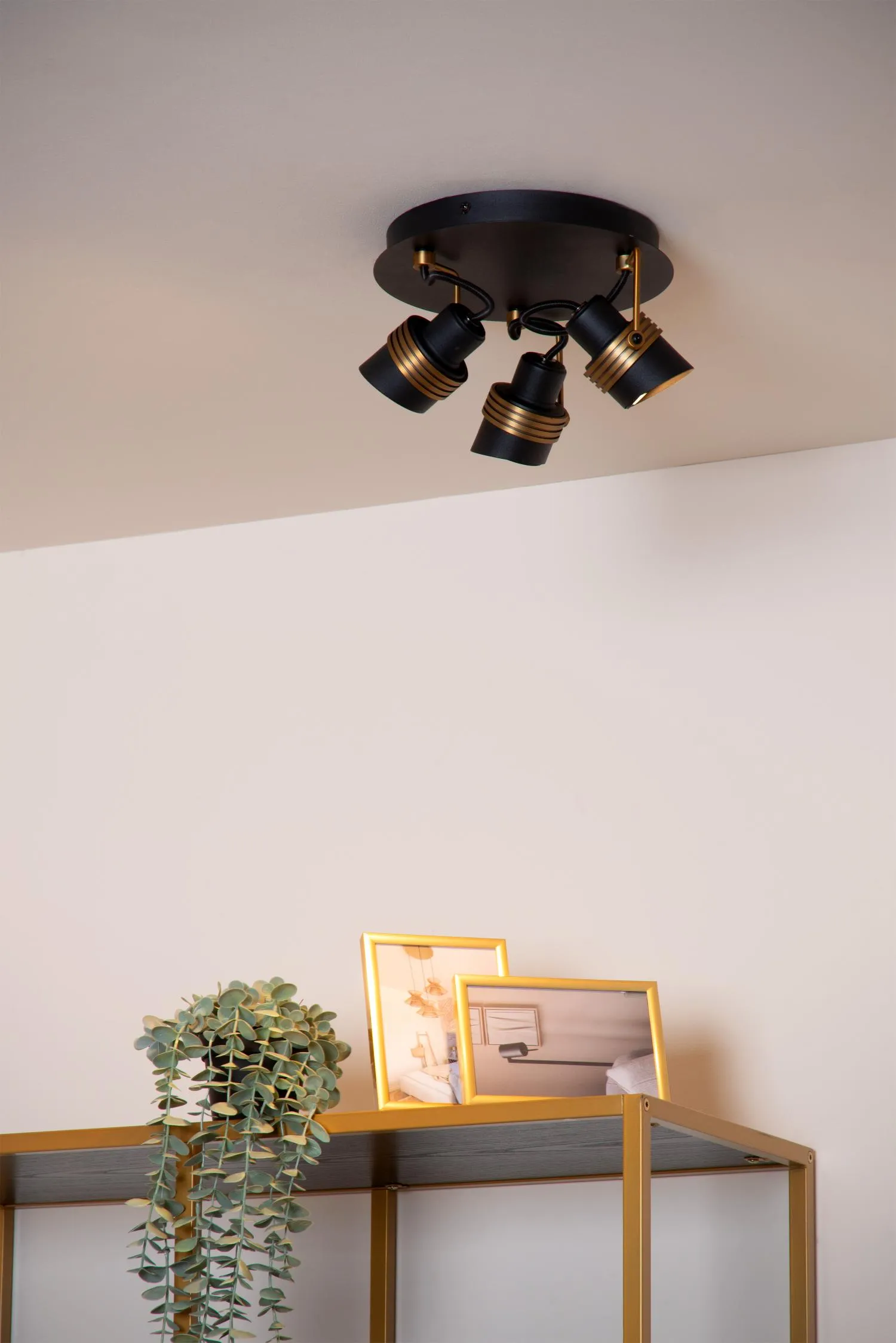 Main image for TUNDRAN