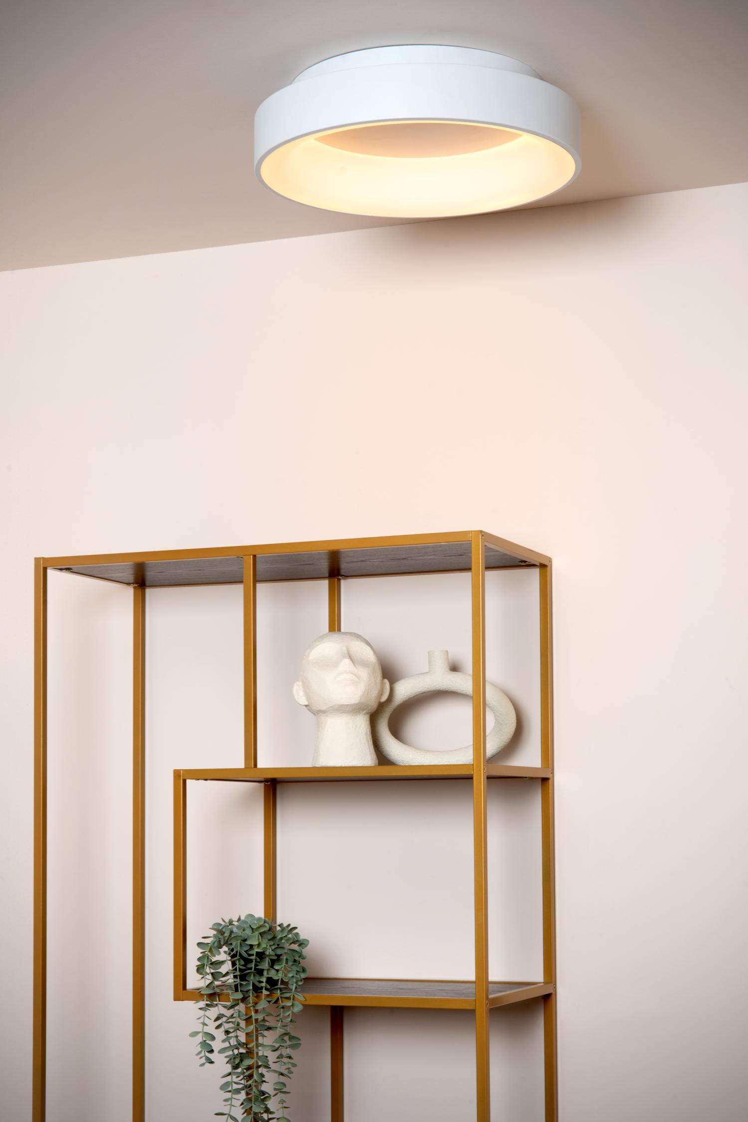 Mirage Ceiling Lights - Matt Black/Opal - 450mm Diameter