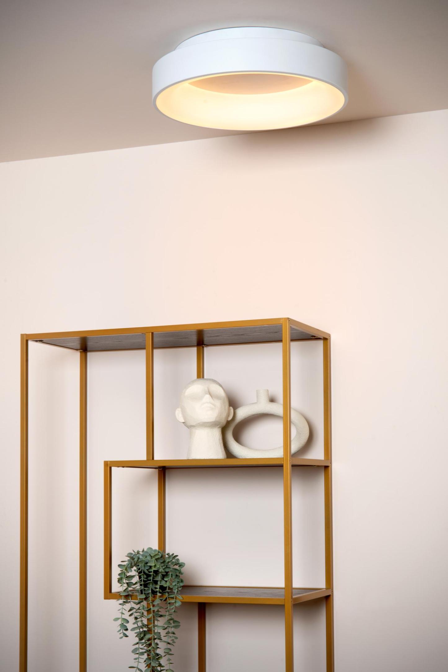 Mirage Ceiling Lights - Matt Black/Opal - 450mm Diameter