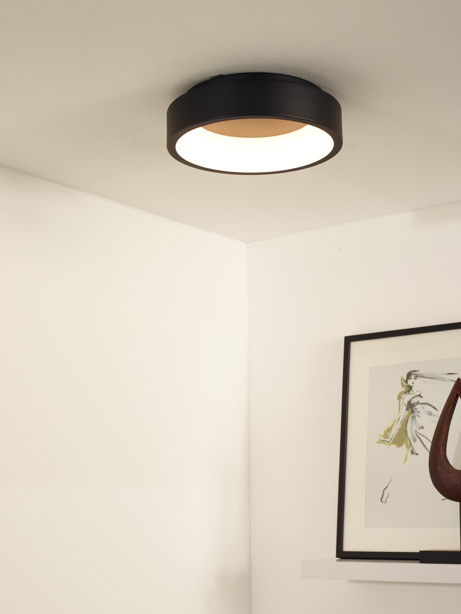 Talowe Ceiling Lights - Matt Black/Opal - 300mm Diameter
