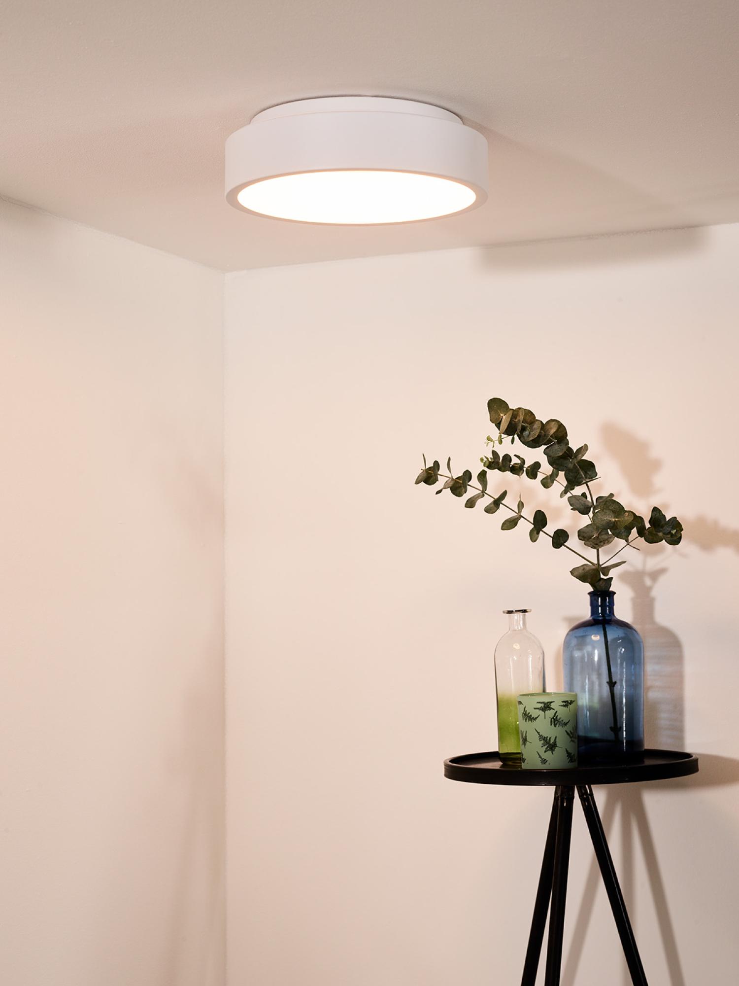 Talowe Ceiling Lights - Matt Black/Opal - 300mm Diameter