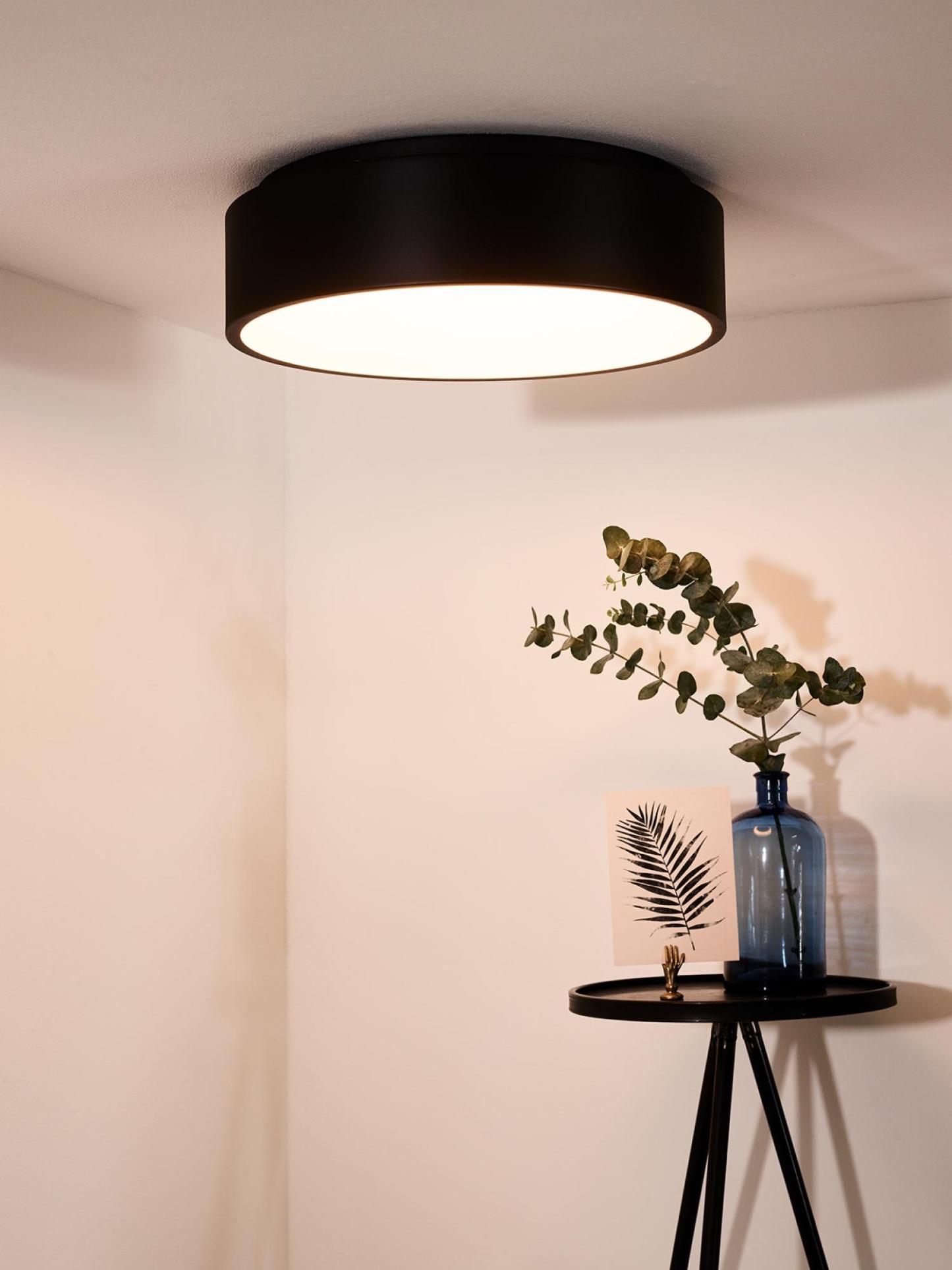 Talowe Ceiling Lights - Matt Black/Opal - 455mm Diameter