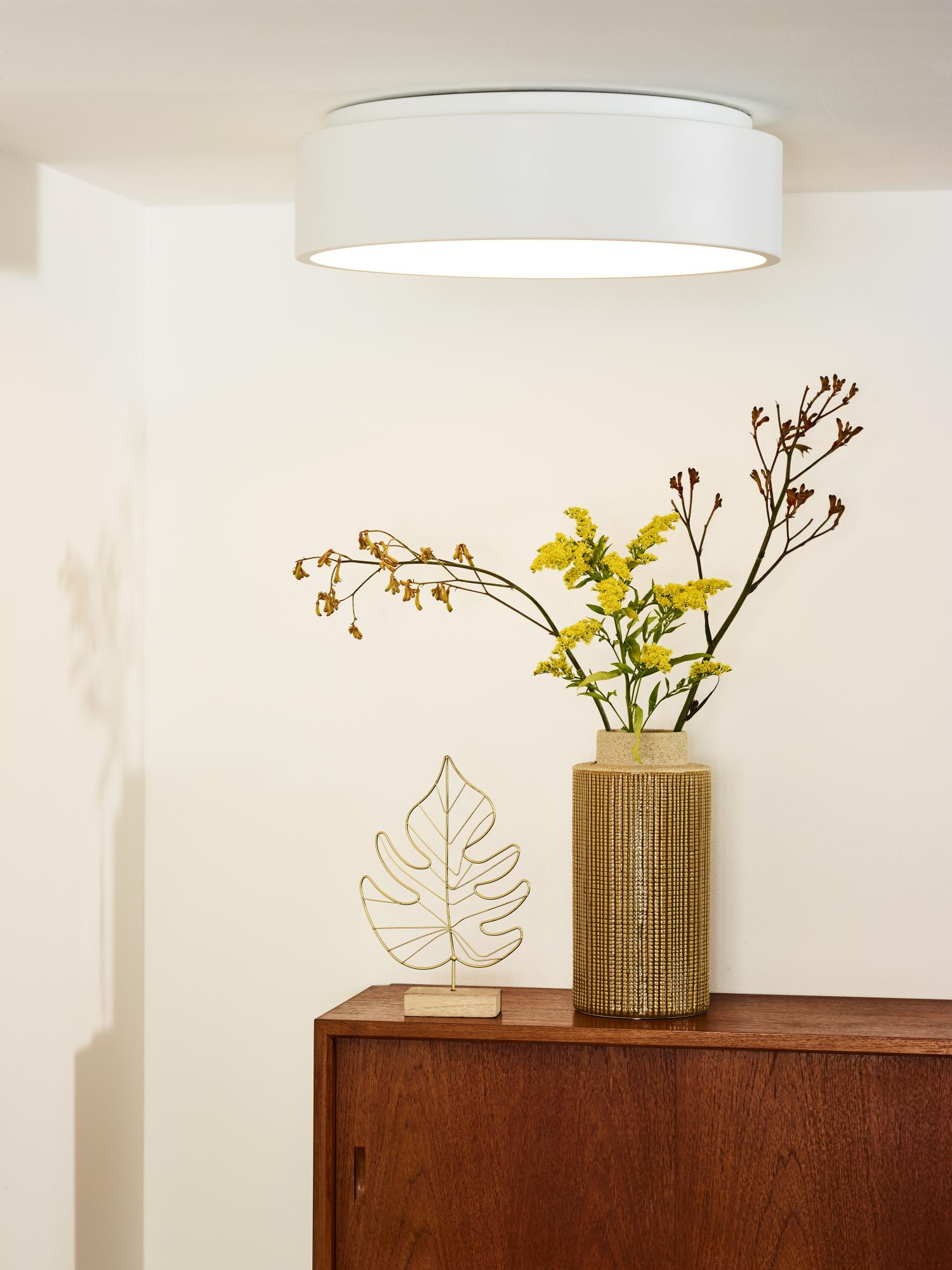 Talowe Ceiling Lights - Matt Black/Opal - 455mm Diameter