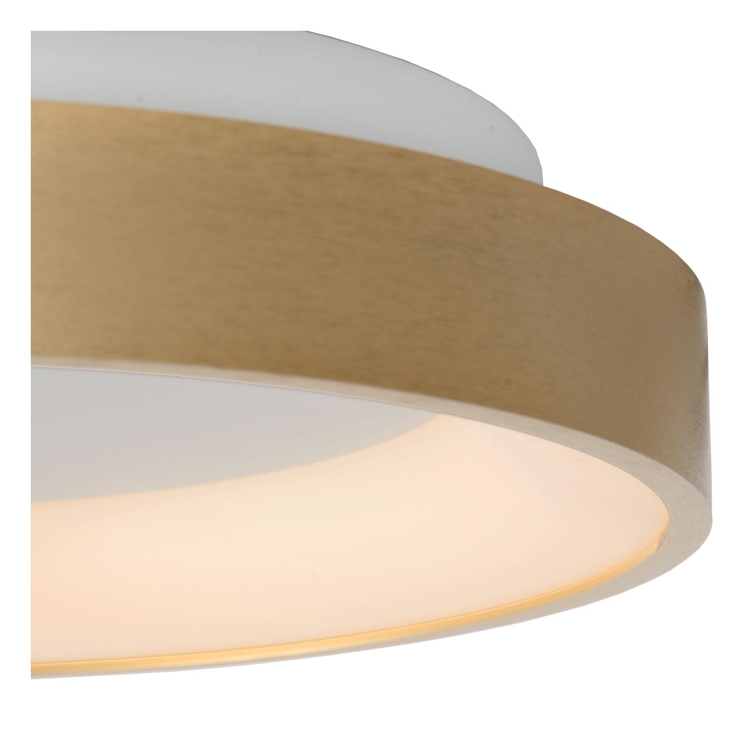 Vidal Ceiling Lights - Brushed Gold/Opal - 280mm Diameter