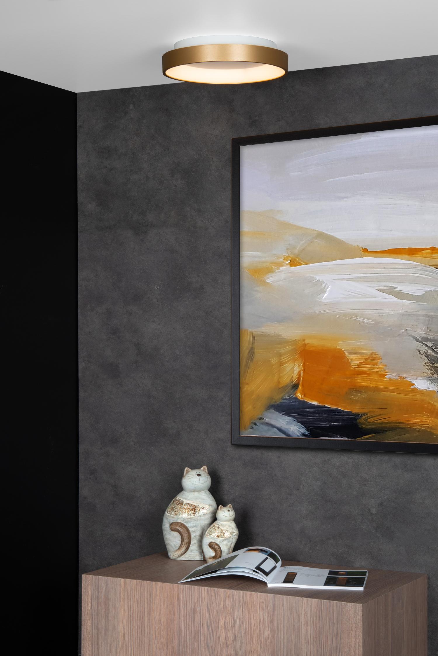 Vidal Ceiling Lights - Brushed Gold/Opal - 280mm Diameter