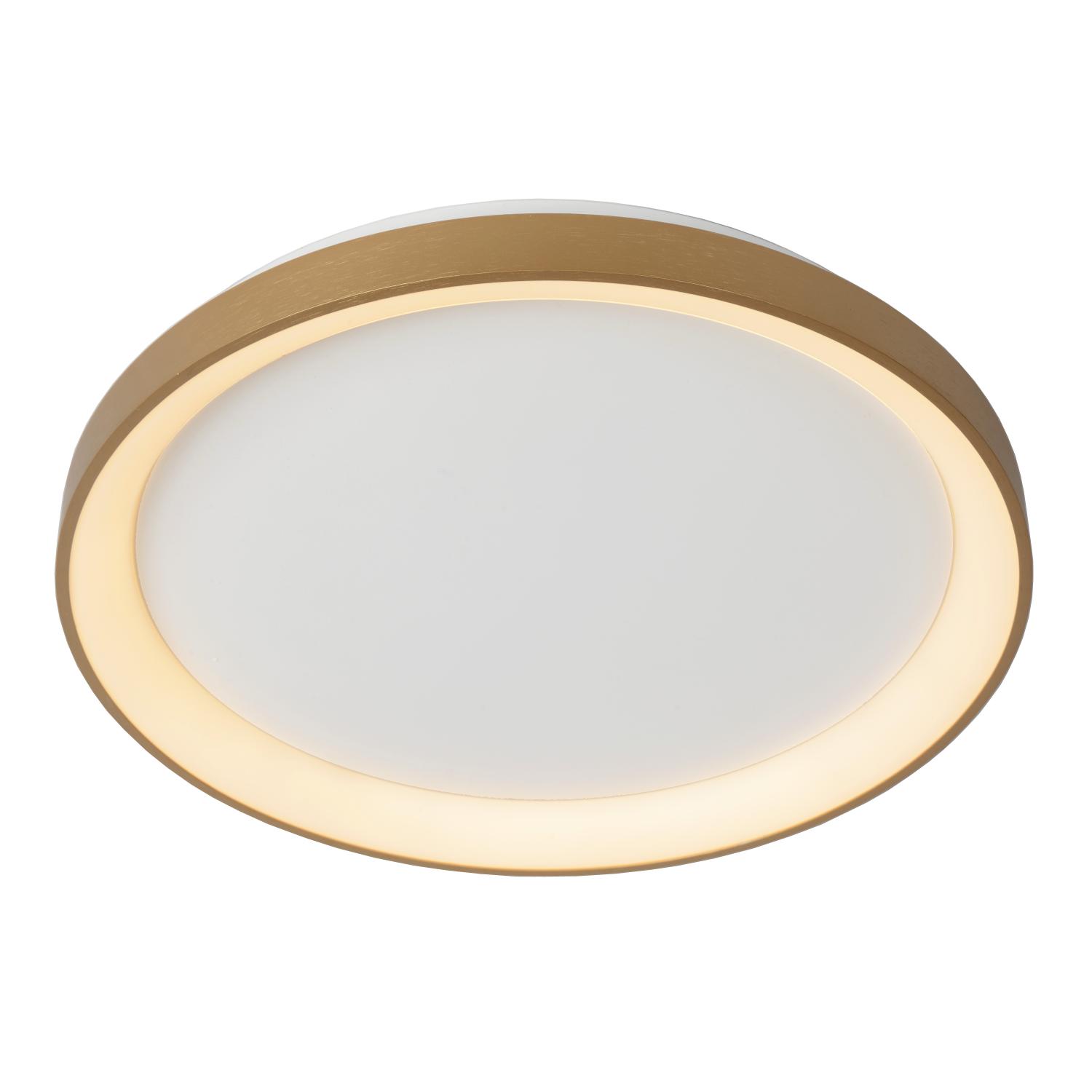 Vidal Ceiling Lights - Brushed Gold/Opal - 480mm Diameter