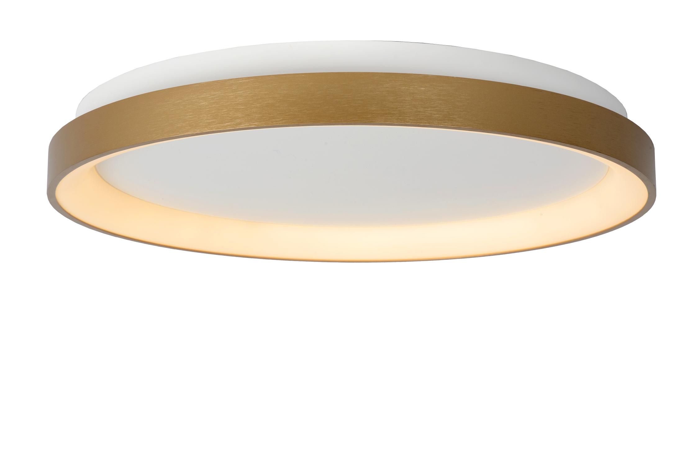 Vidal Ceiling Lights - Brushed Gold/Opal - 480mm Diameter