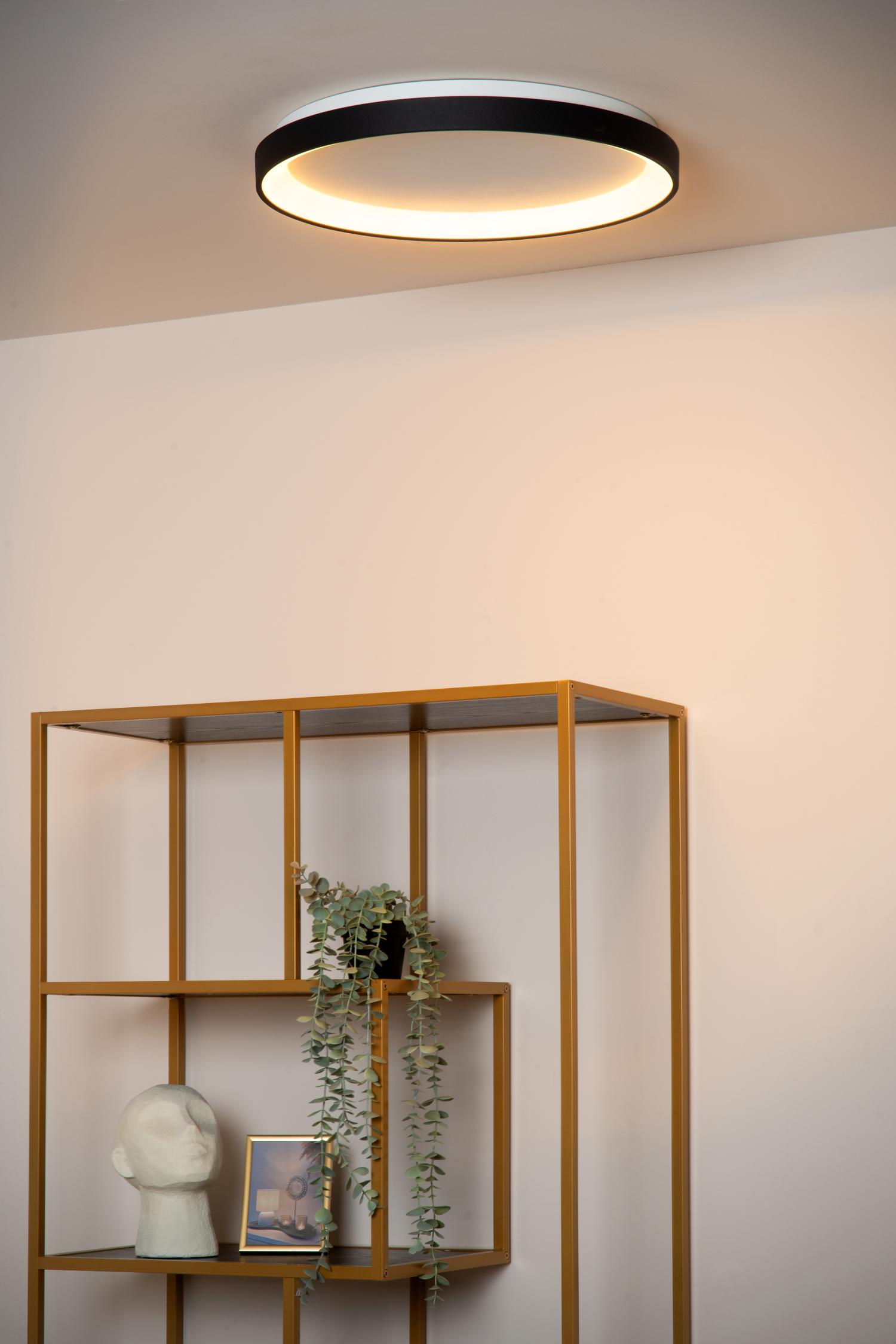 Vidal Ceiling Lights - Brushed Gold/Opal - 480mm Diameter