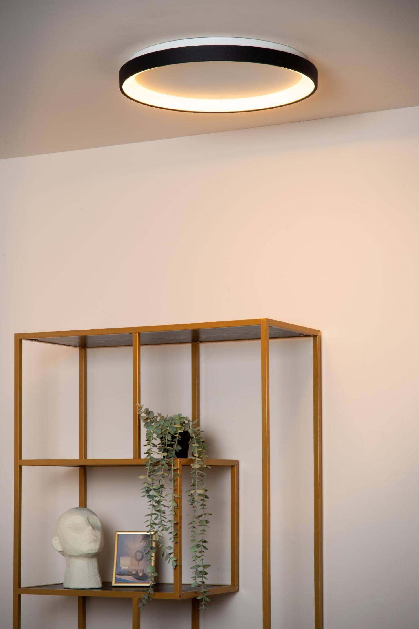 Vidal Ceiling Lights - Brushed Gold/Opal - 480mm Diameter