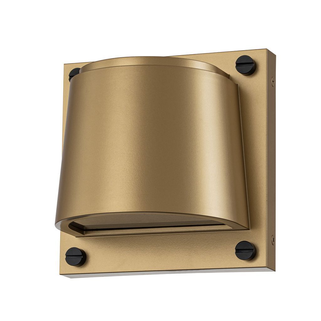 Scout Wall Light