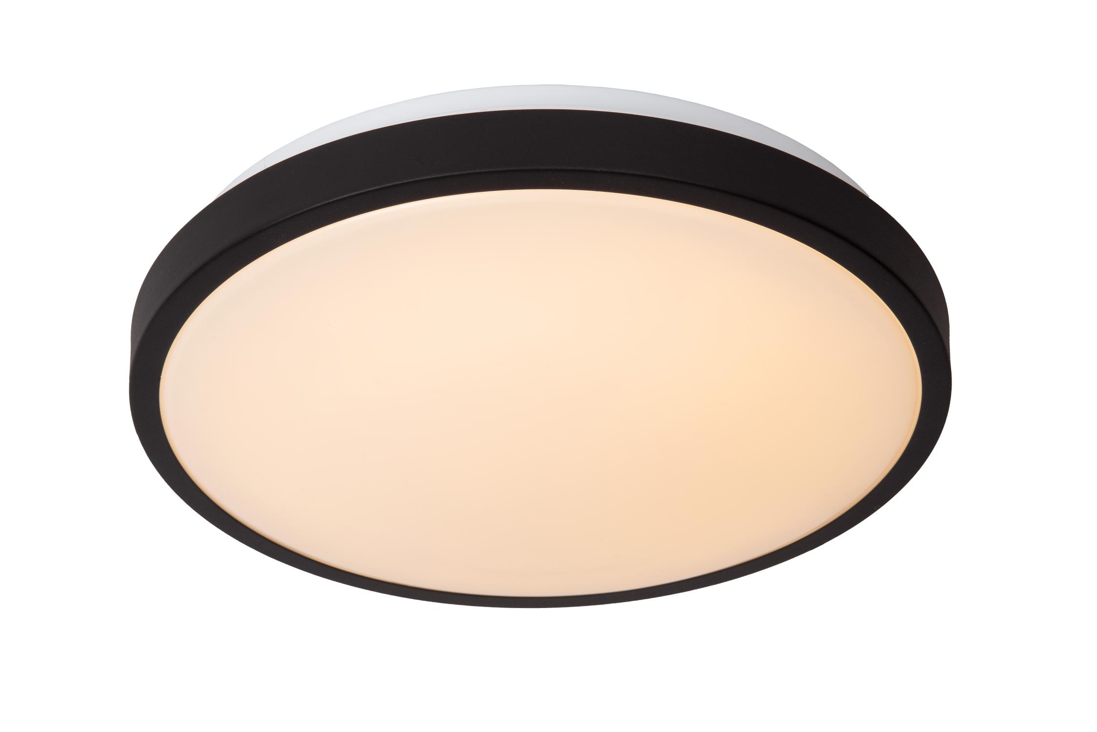 Dasher Ceiling Lights - Matt Black/Opal - 348mm Diameter