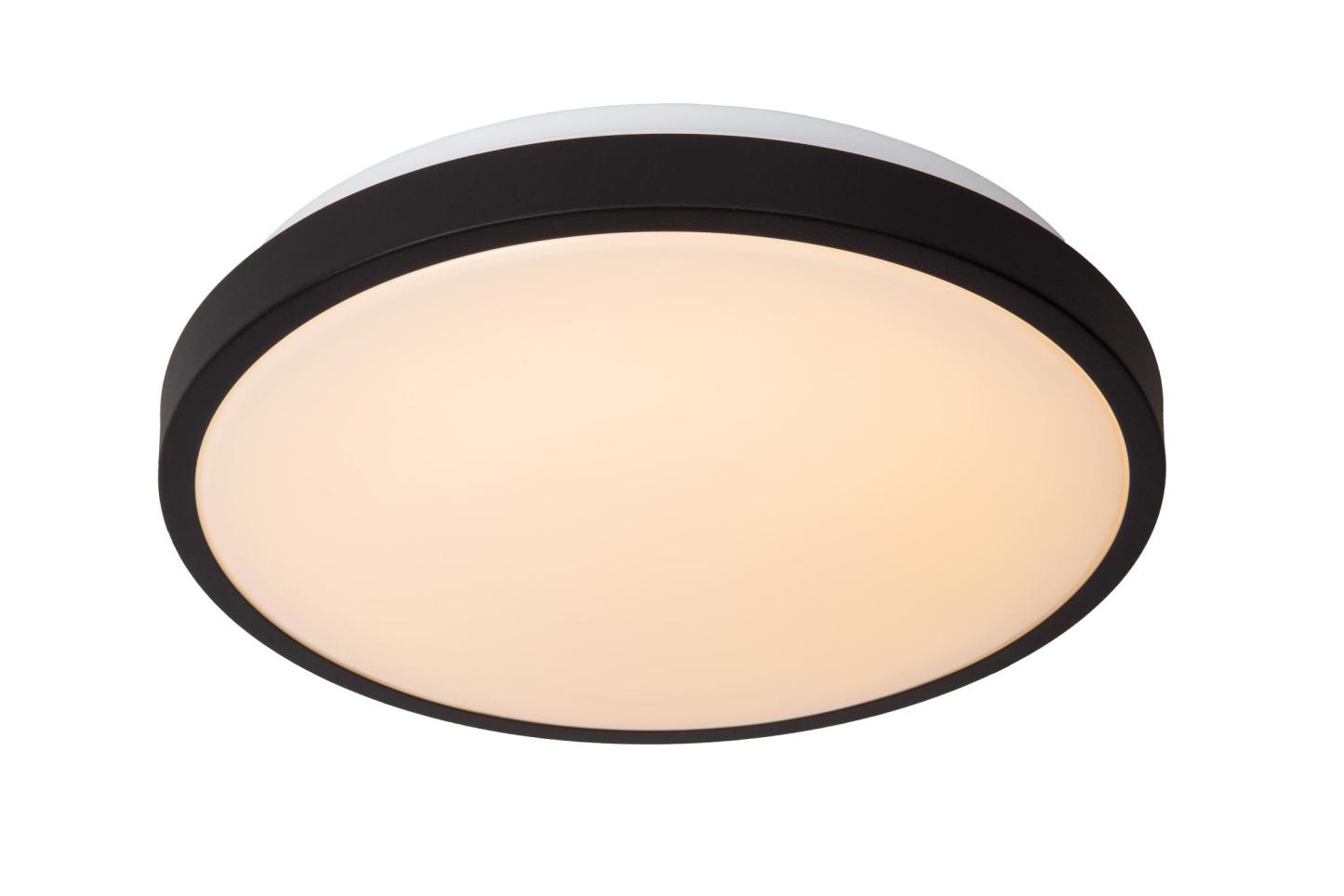 Dasher Ceiling Lights - Matt Black/Opal - 348mm Diameter